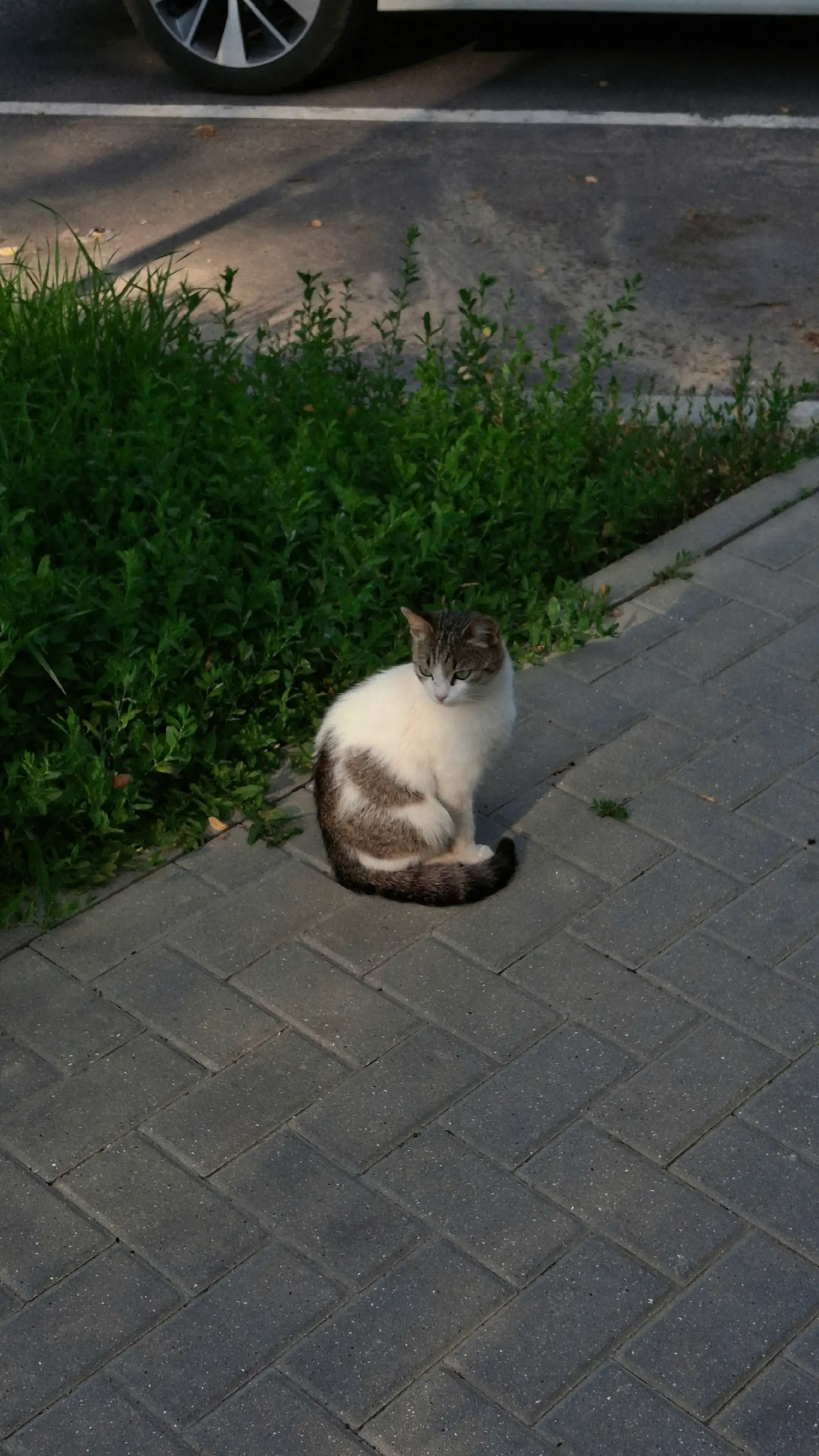 Image 1 of 8