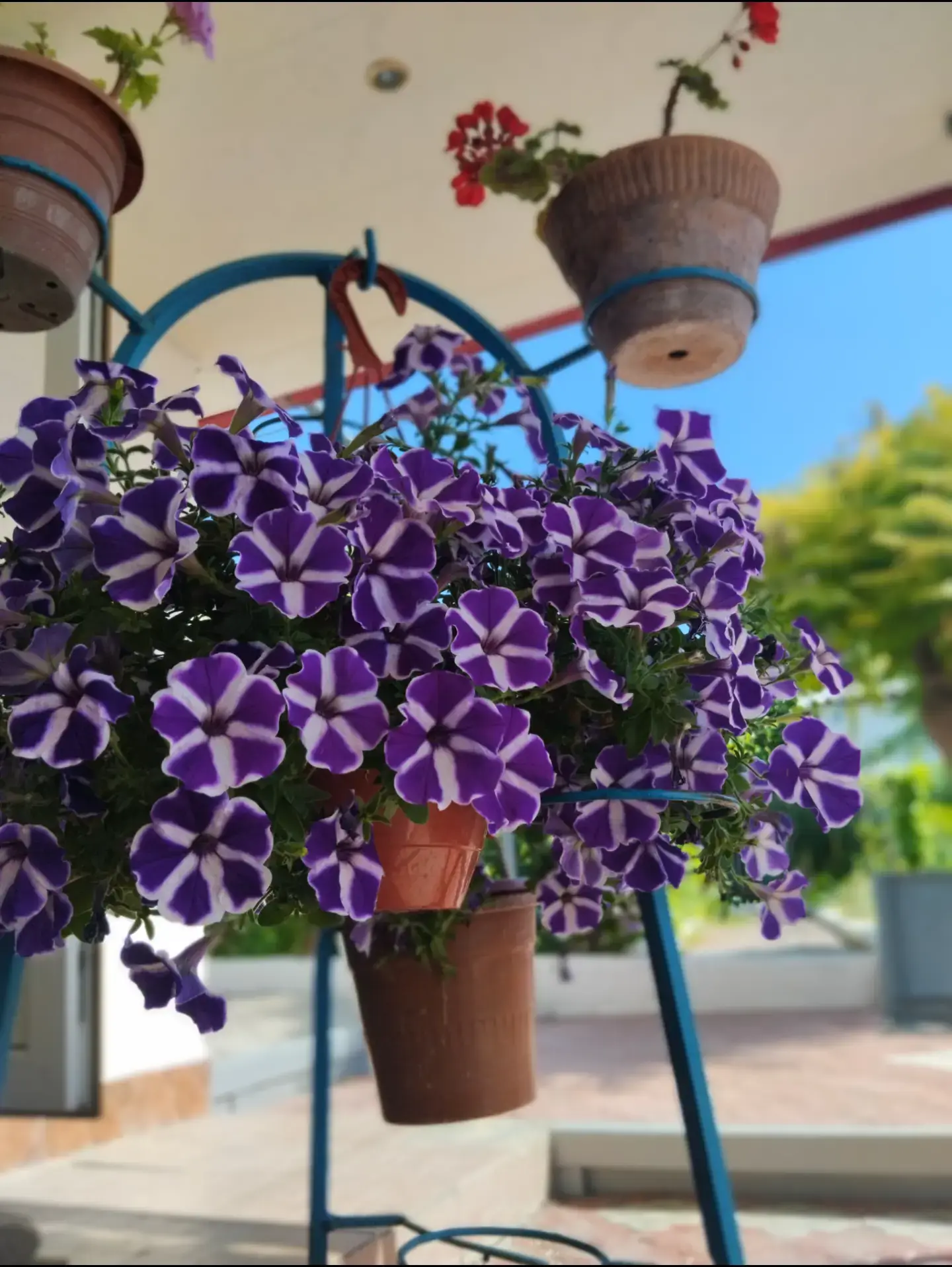 Image 10 of 14
