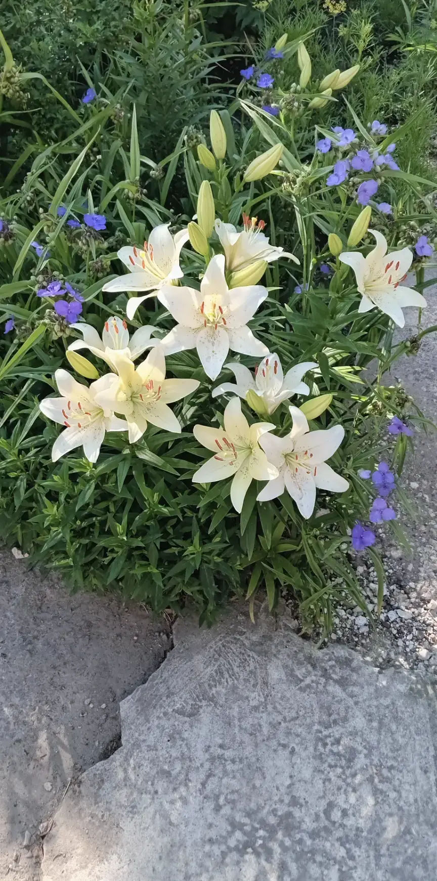Image 3 of 3