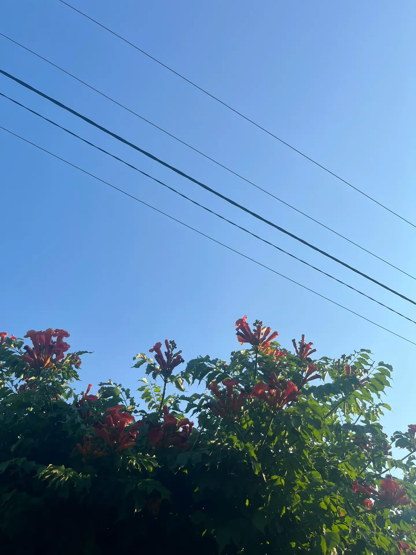 Image 1 of 24