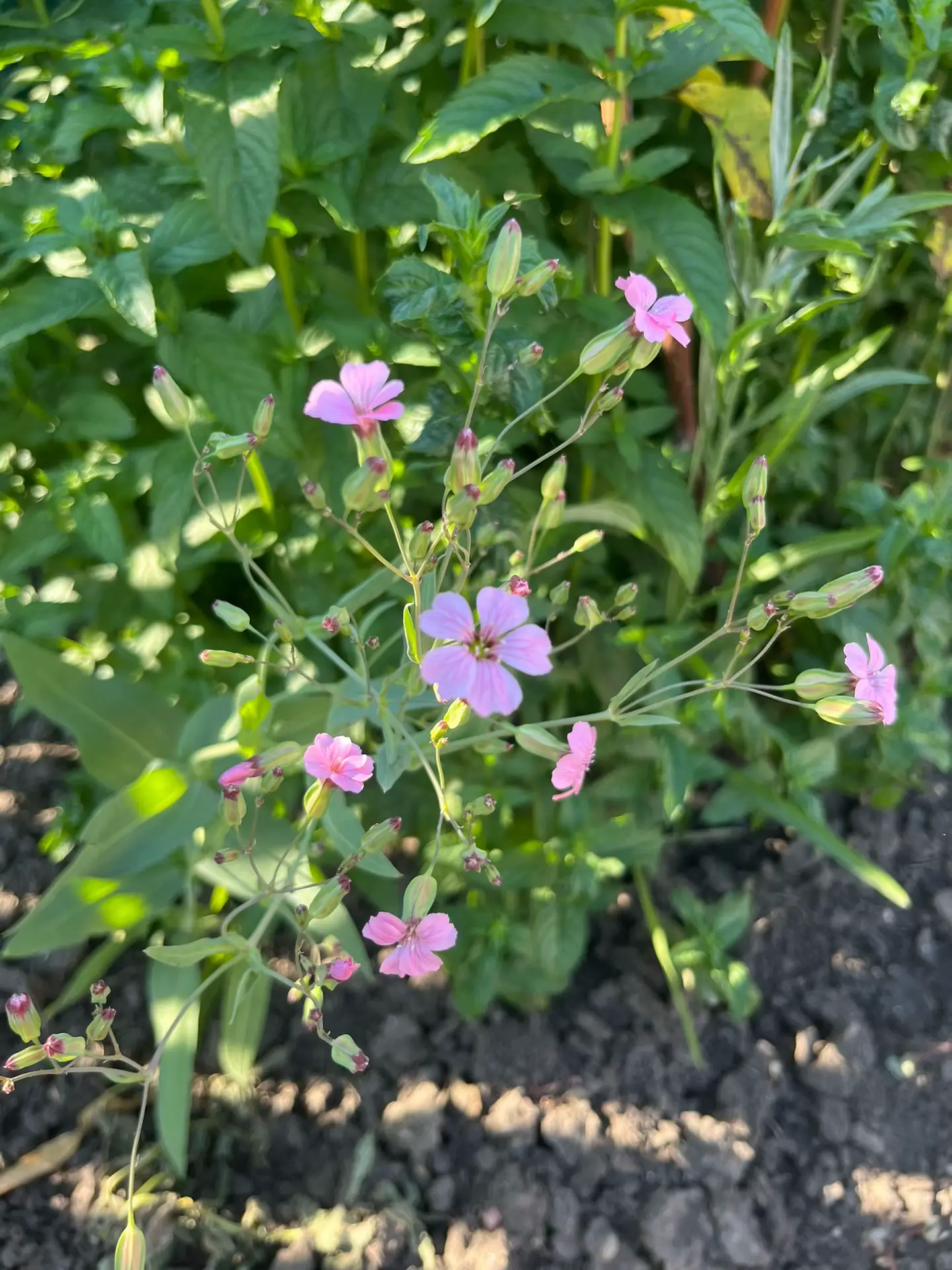 Image 19 of 24