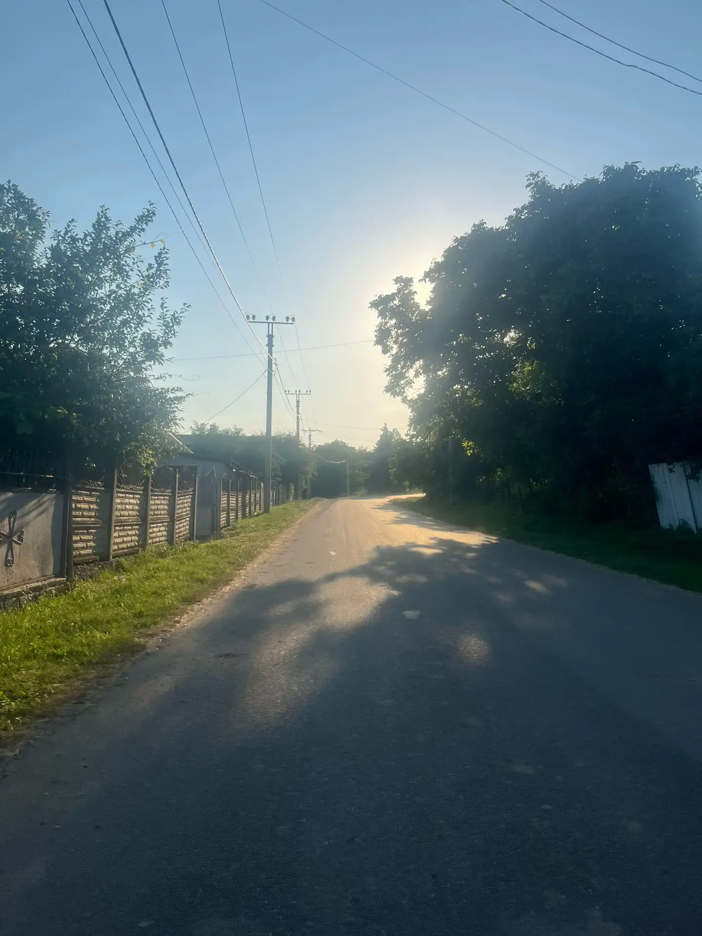 Image 7 of 24