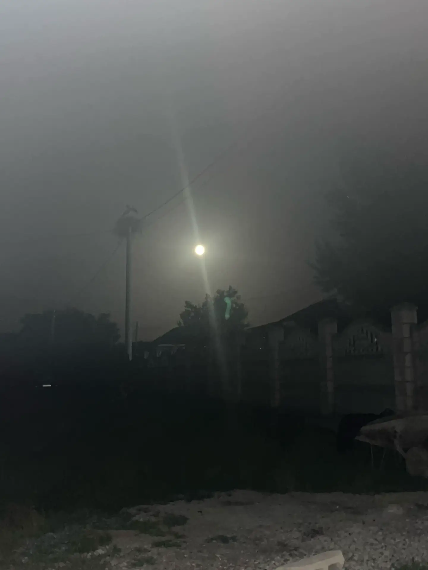 Image 8 of 24