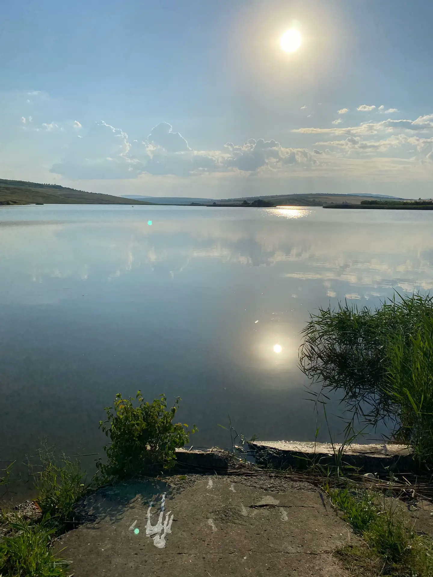 Image 7 of 20