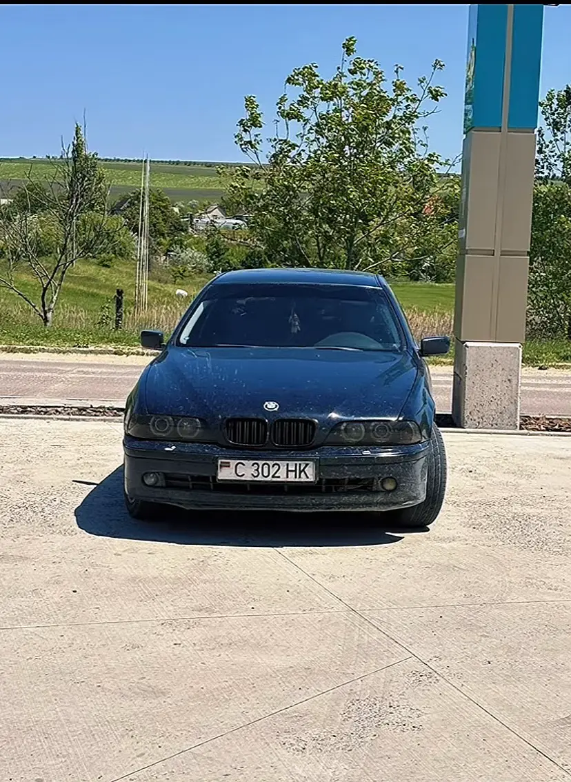 Image 6 of 11