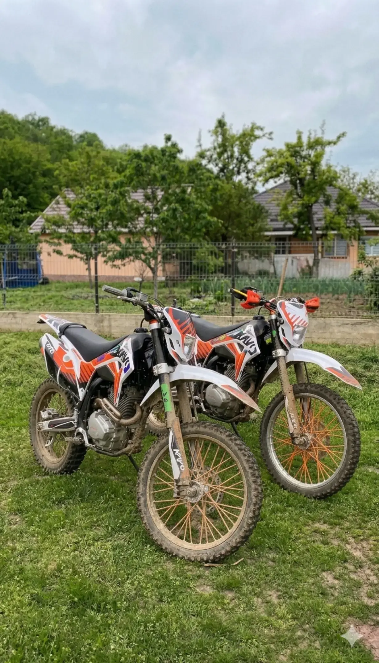 Image 1 of 15