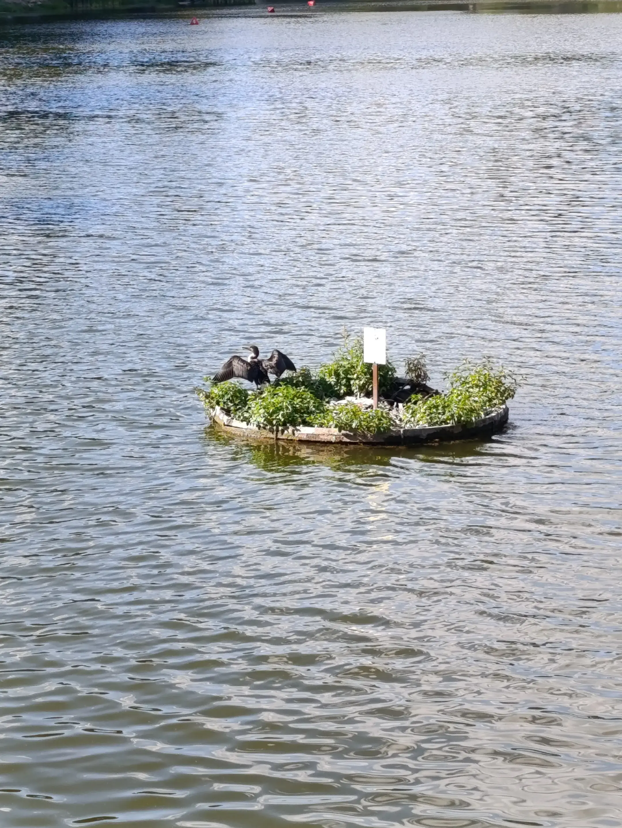 Image 2 of 2