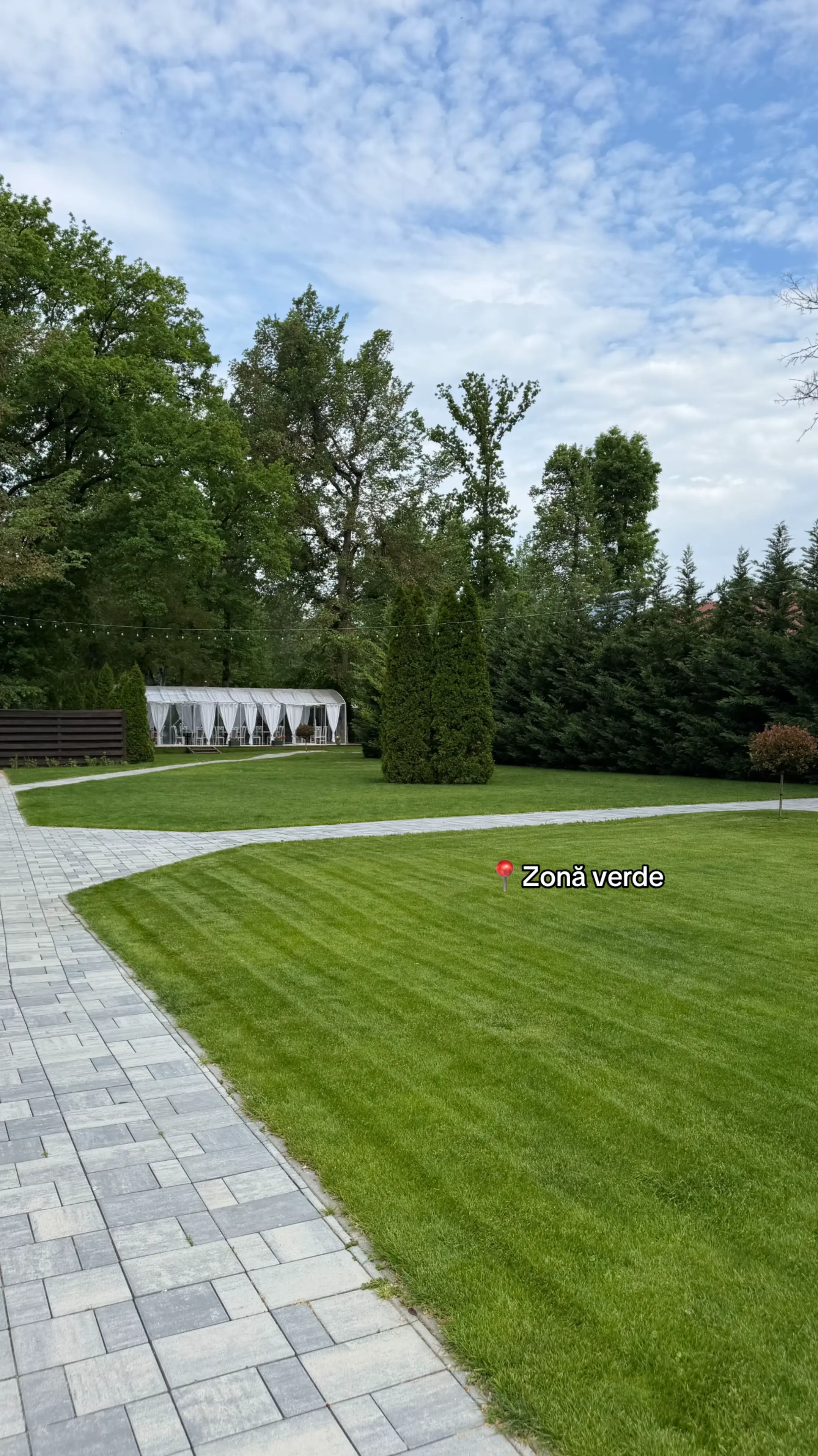 Image 7 of 12