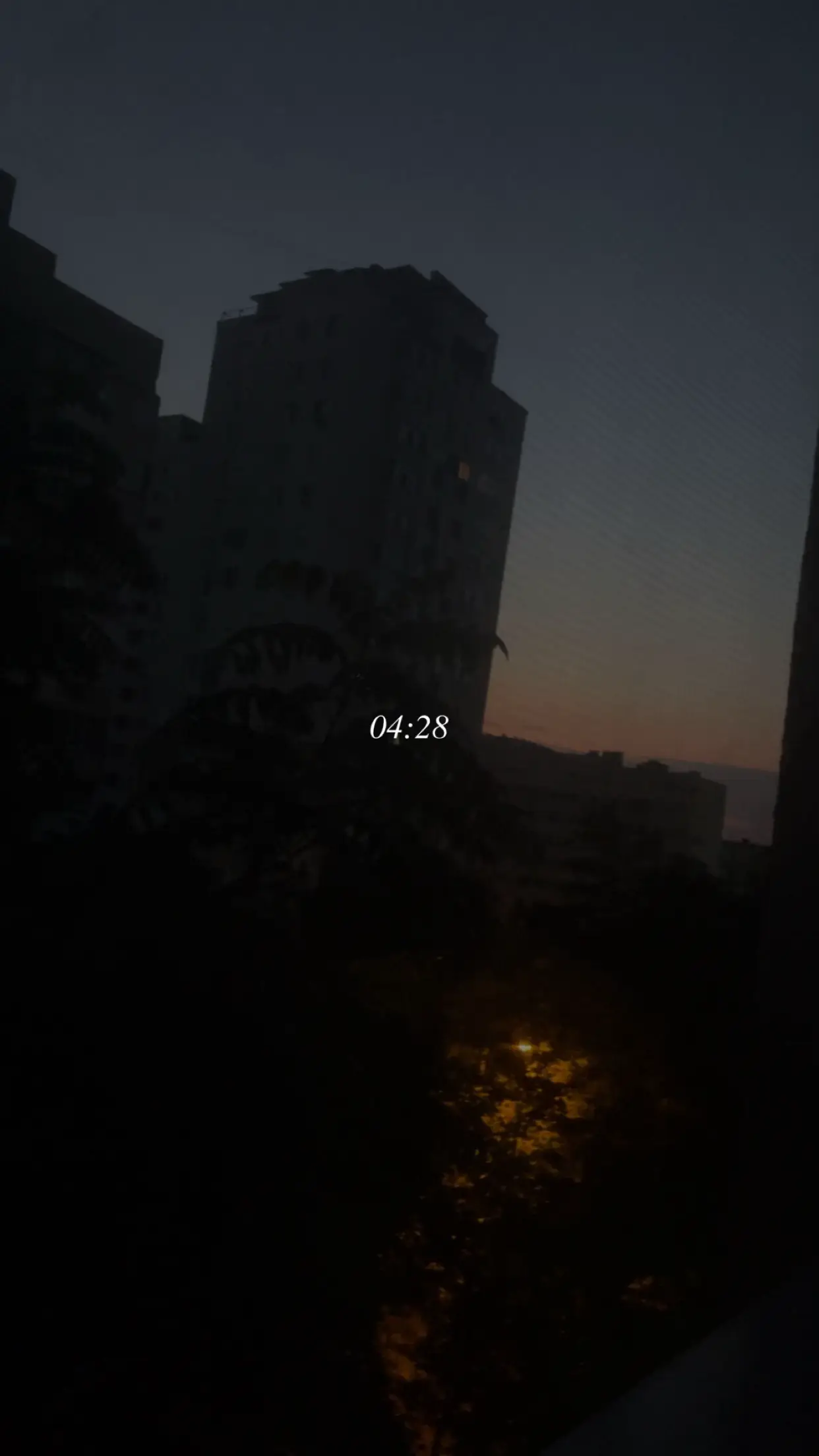 Image 2 of 11
