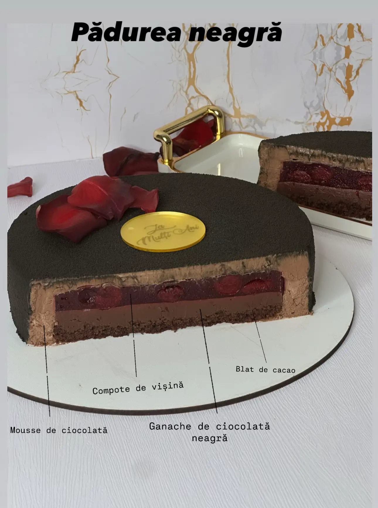 Image 10 of 10