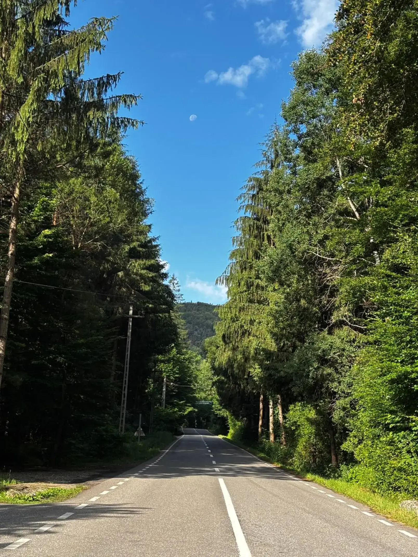 Image 17 of 19