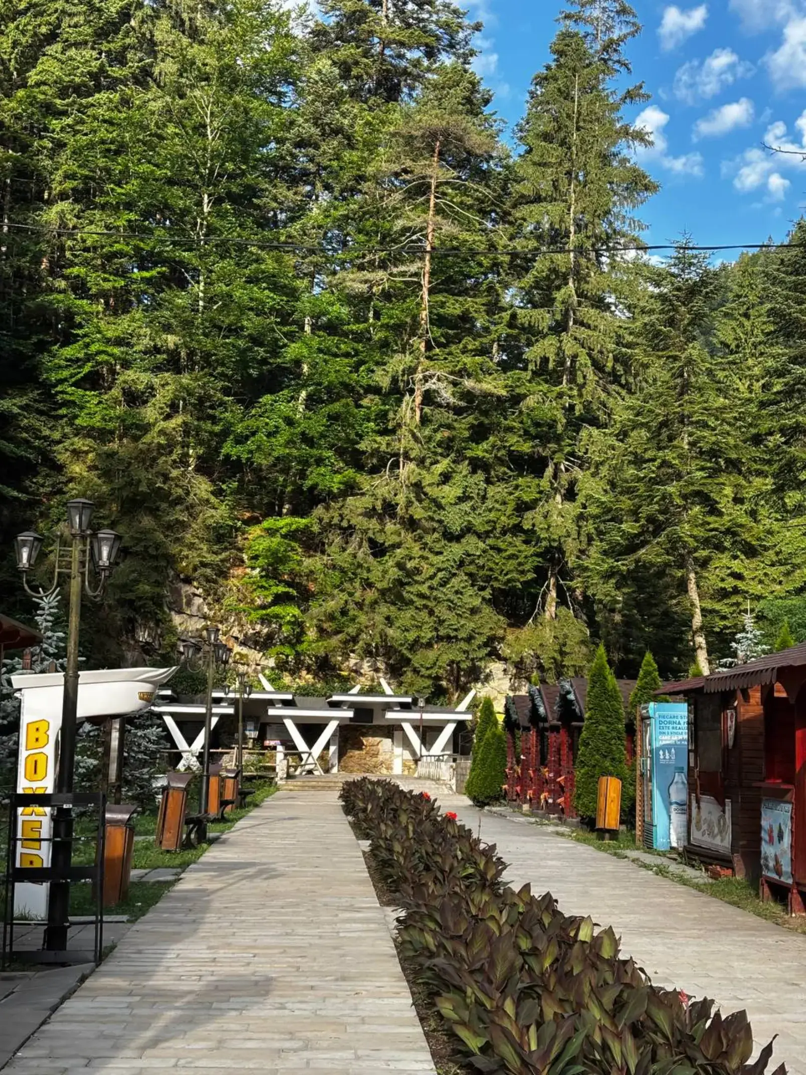 Image 7 of 19