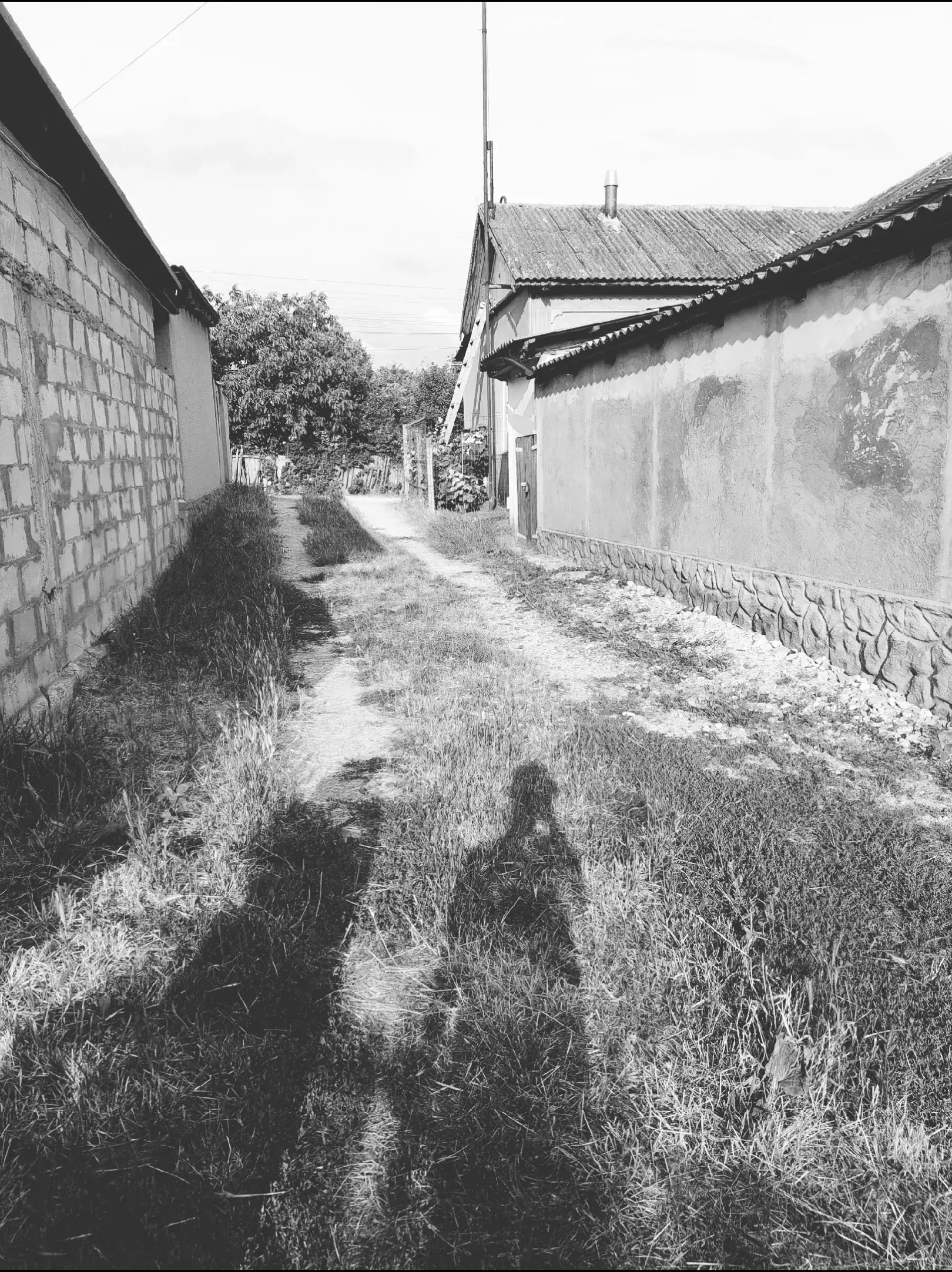 Image 4 of 4