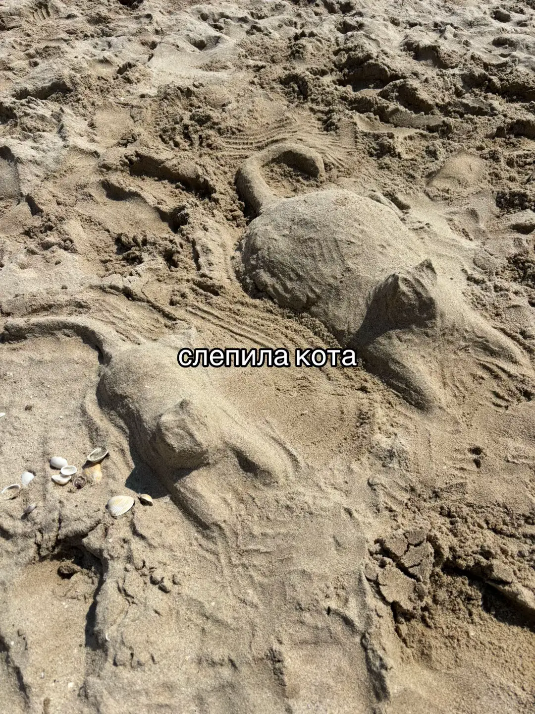 Image 24 of 24
