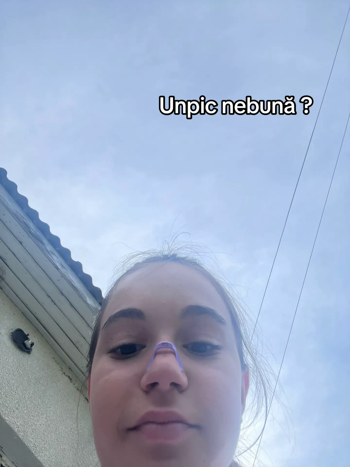 Image 4 of 7