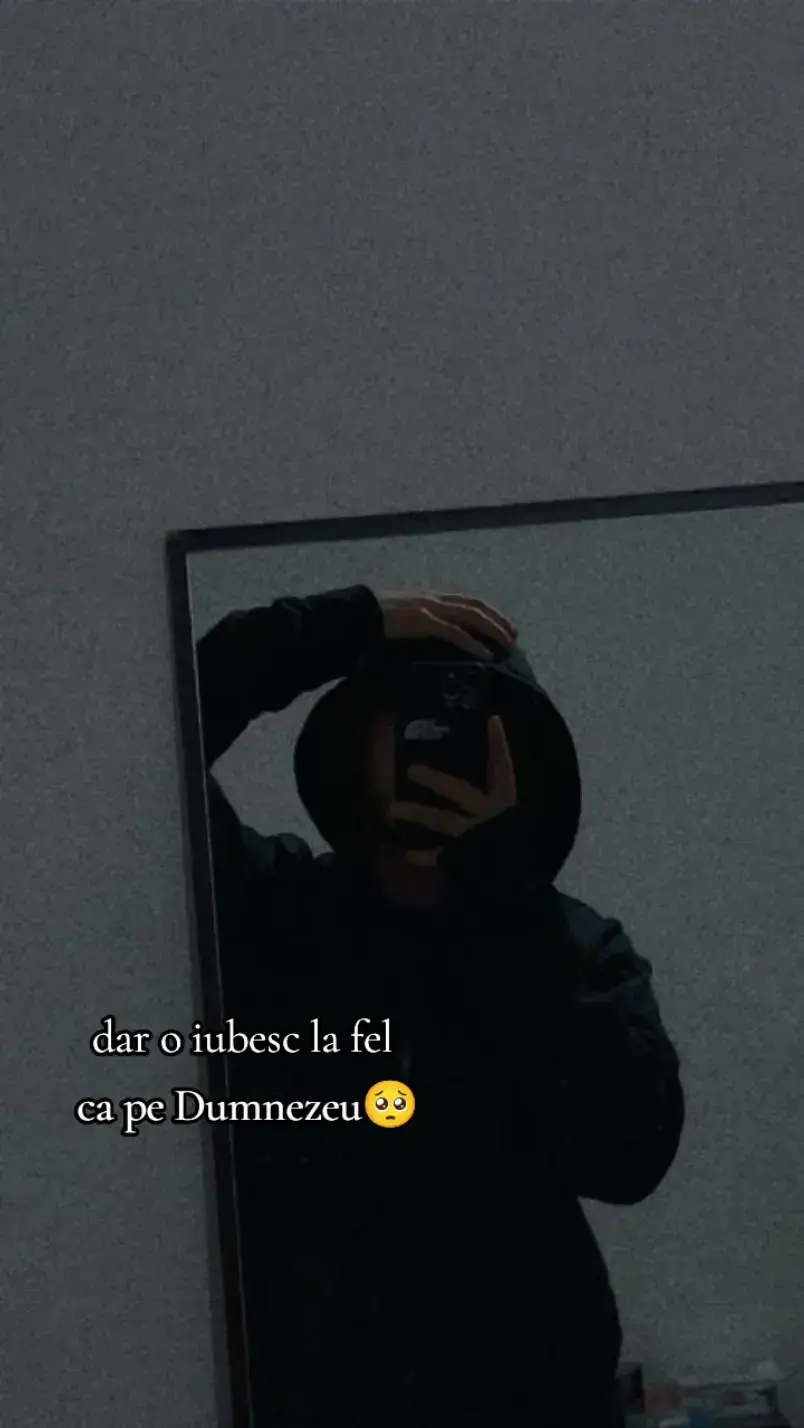 Image 4 of 14