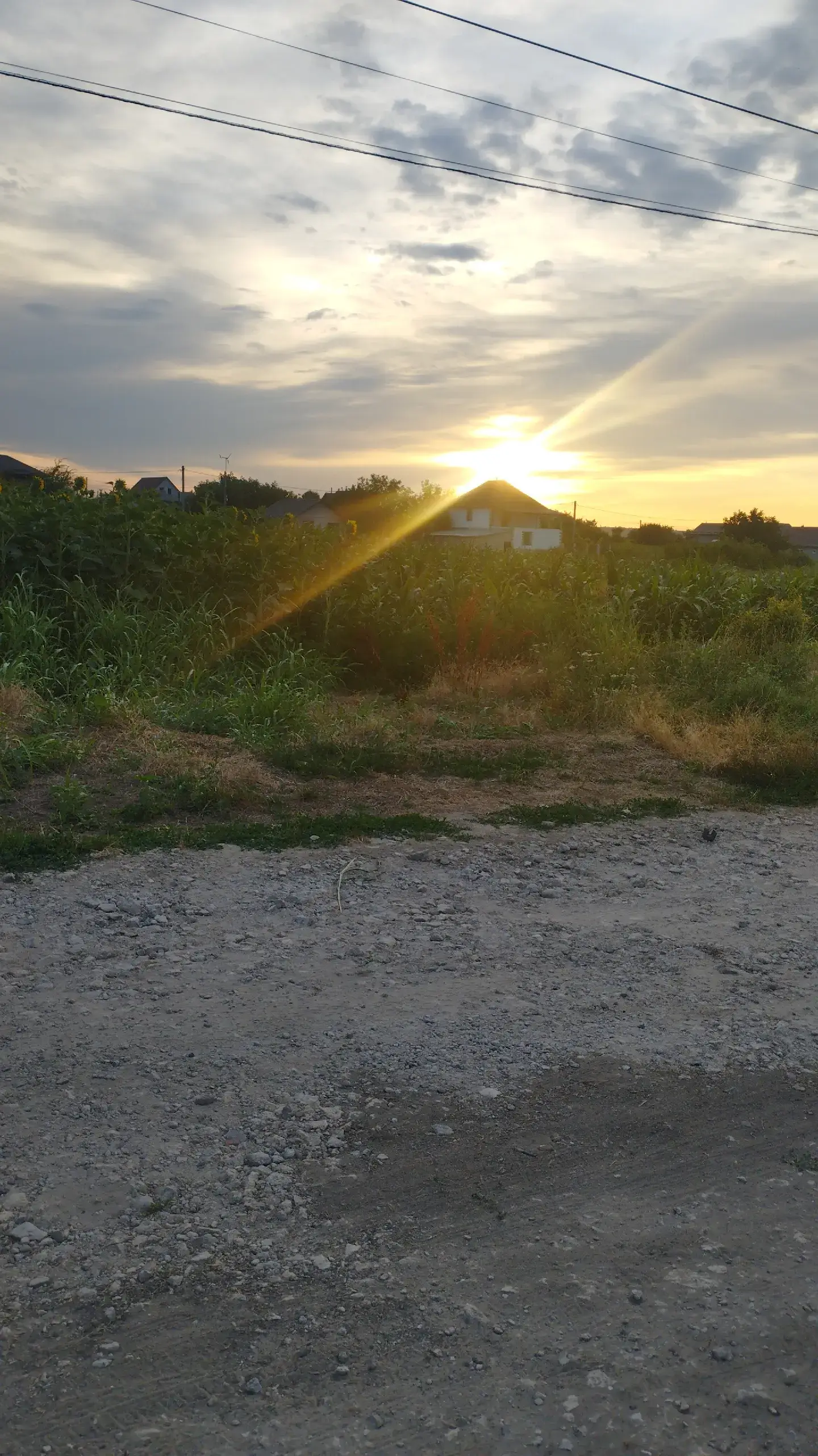 Image 2 of 6