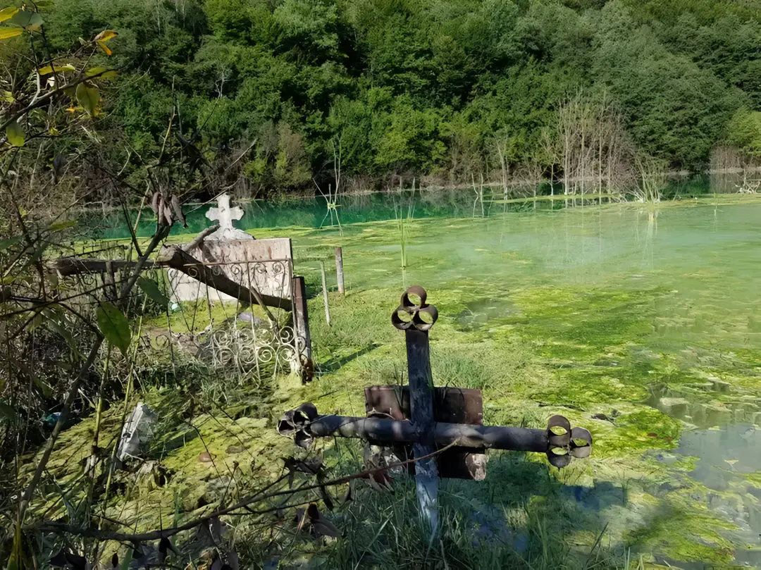 Image 6 of 7