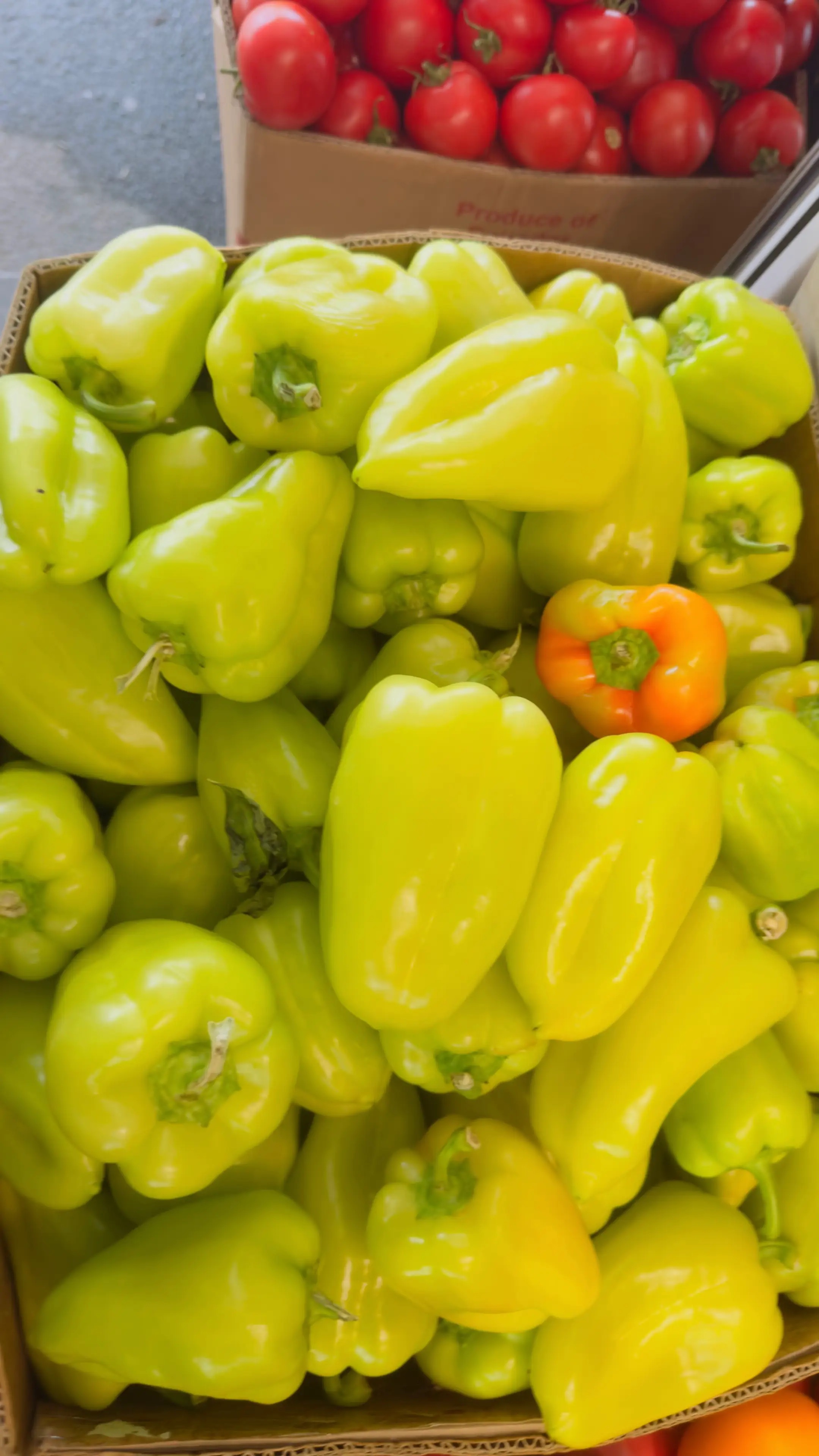 Image 4 of 5