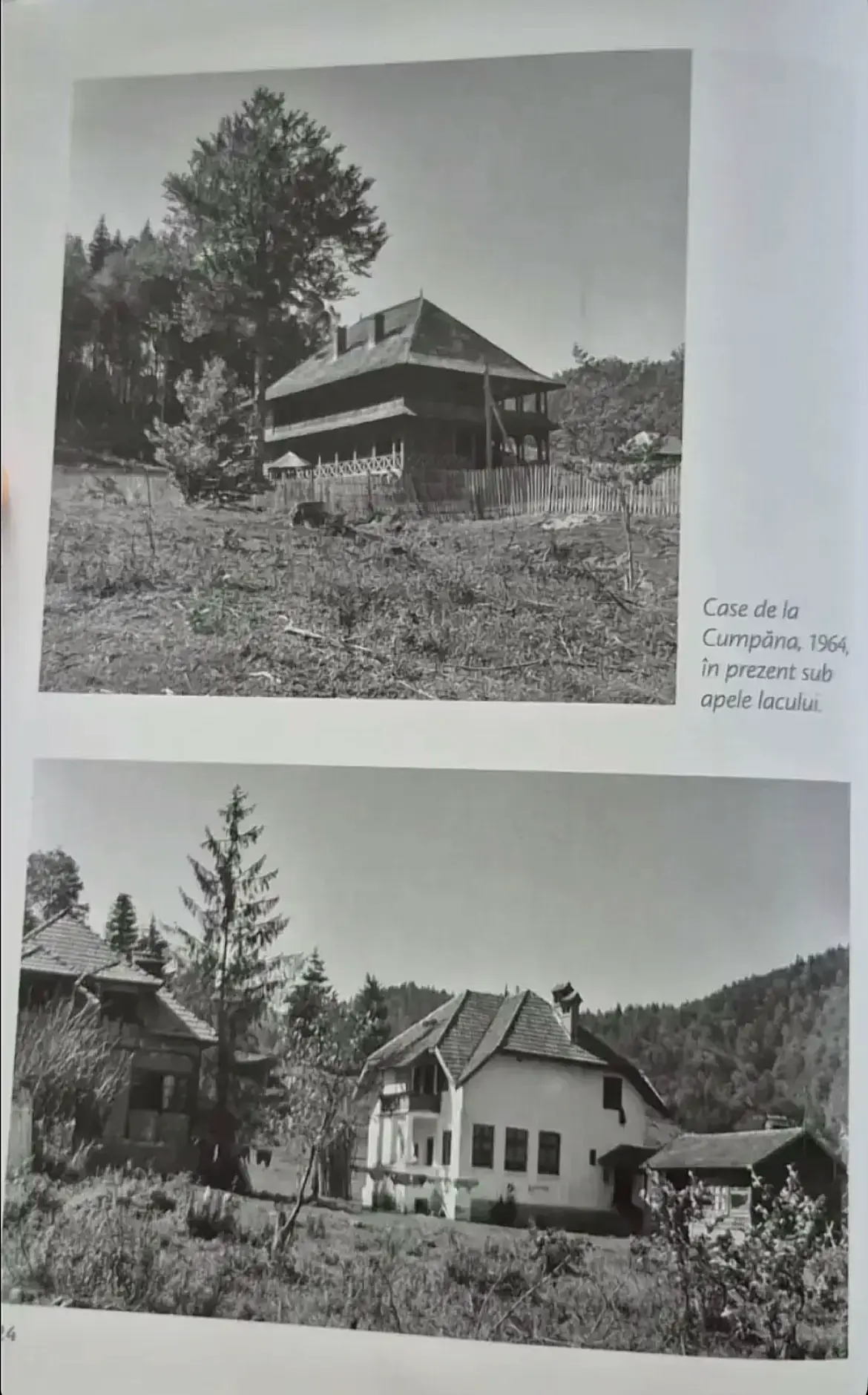 Image 3 of 7
