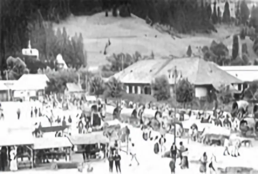 Image 4 of 7