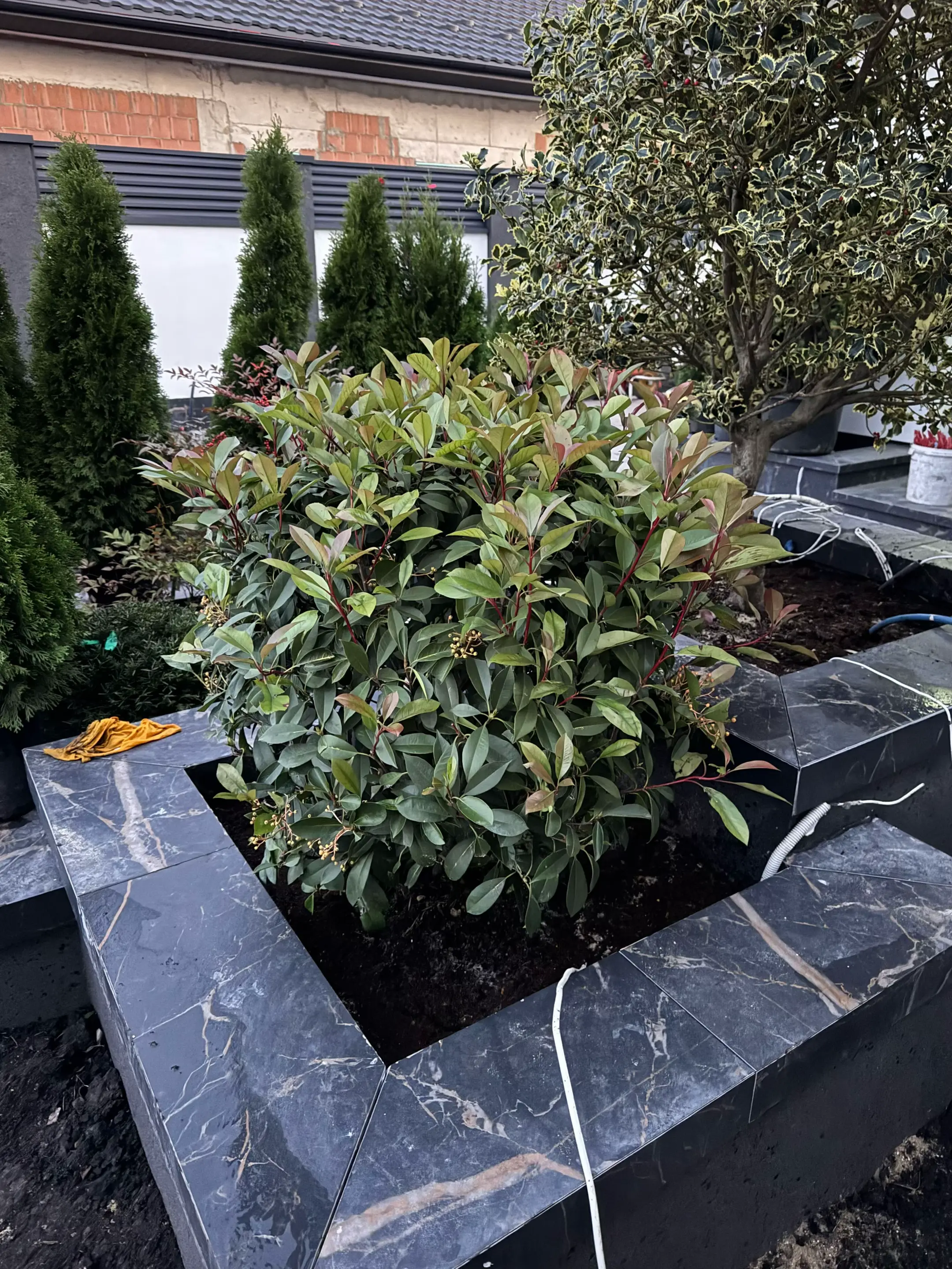 Image 10 of 19