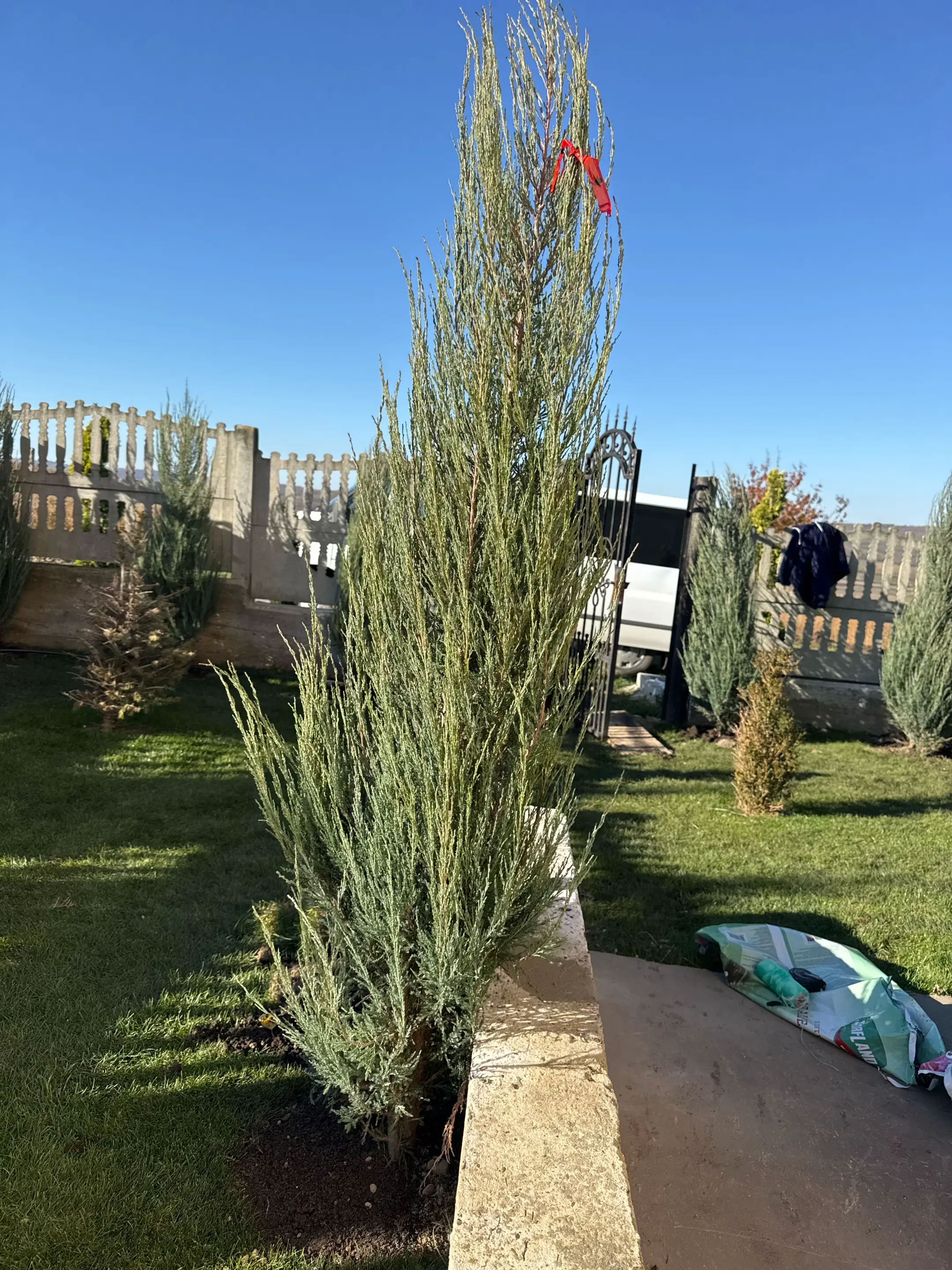 Image 12 of 19