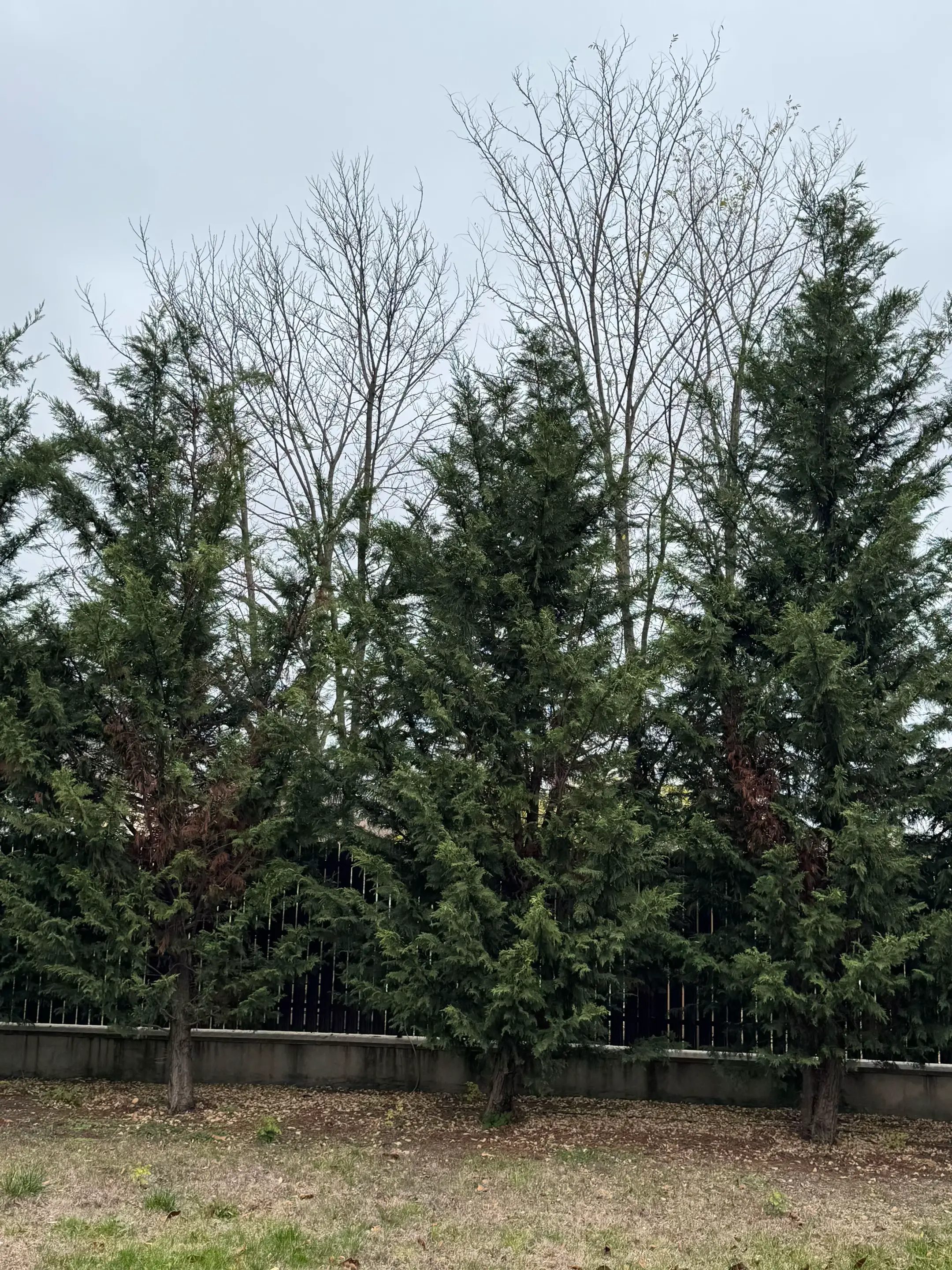 Image 14 of 19