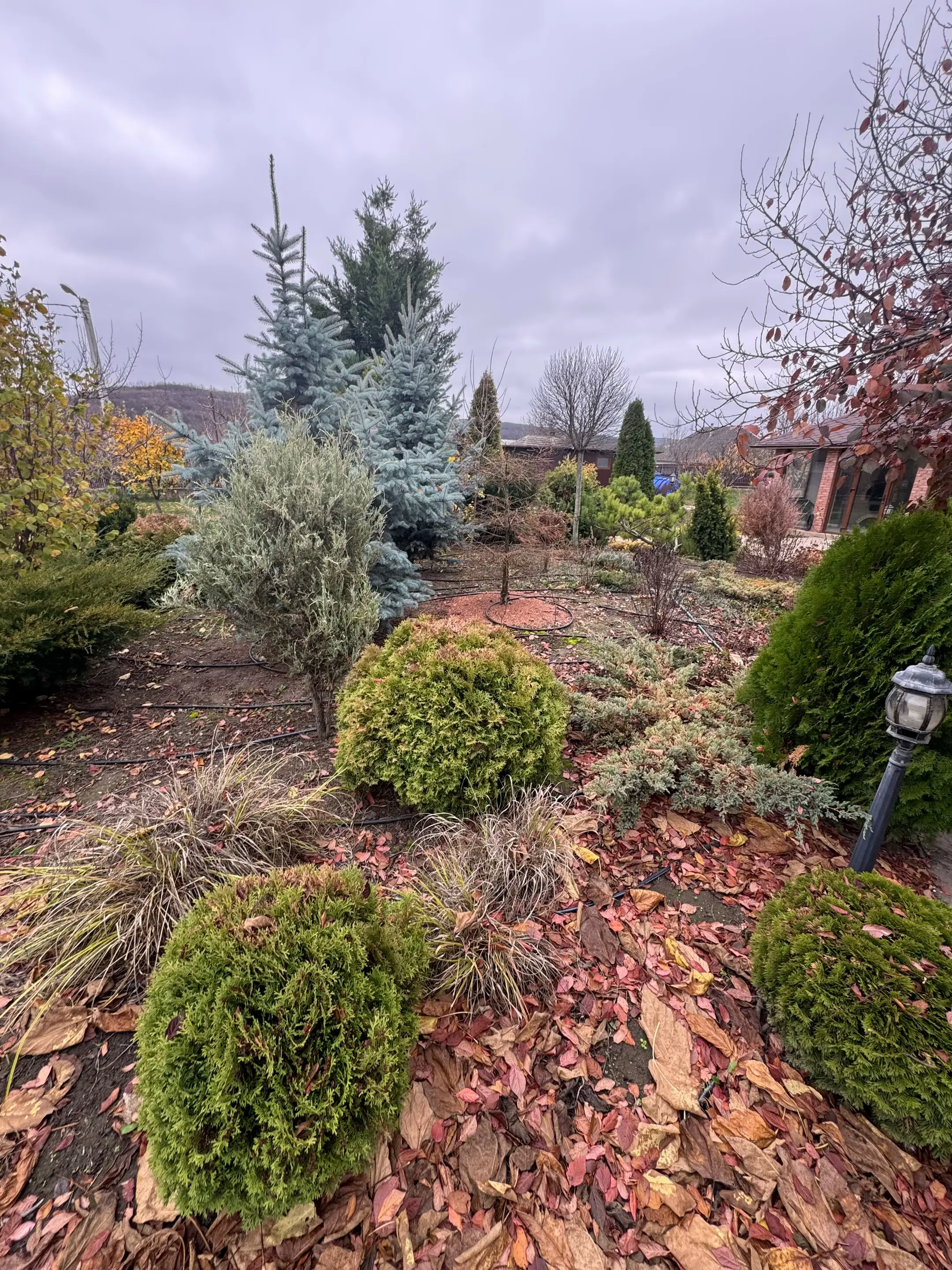 Image 16 of 19
