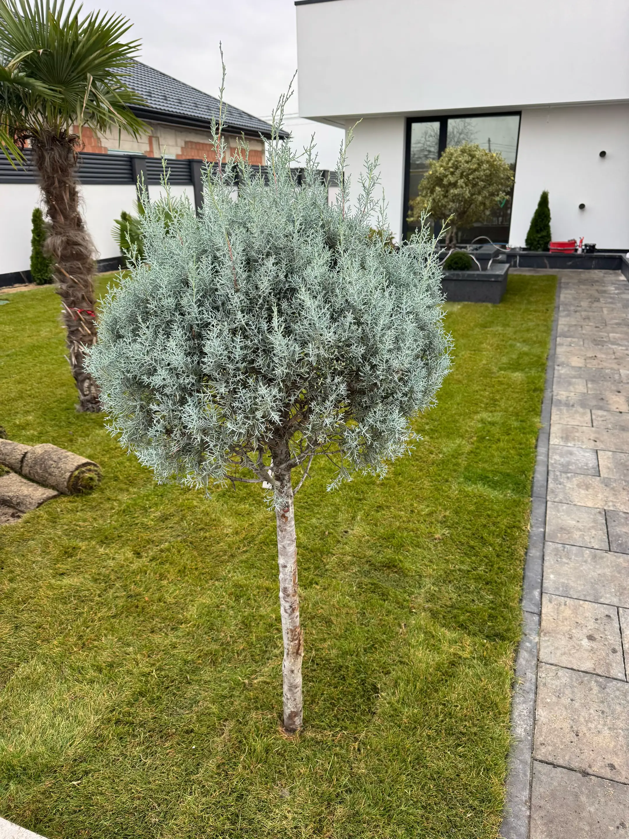 Image 17 of 19