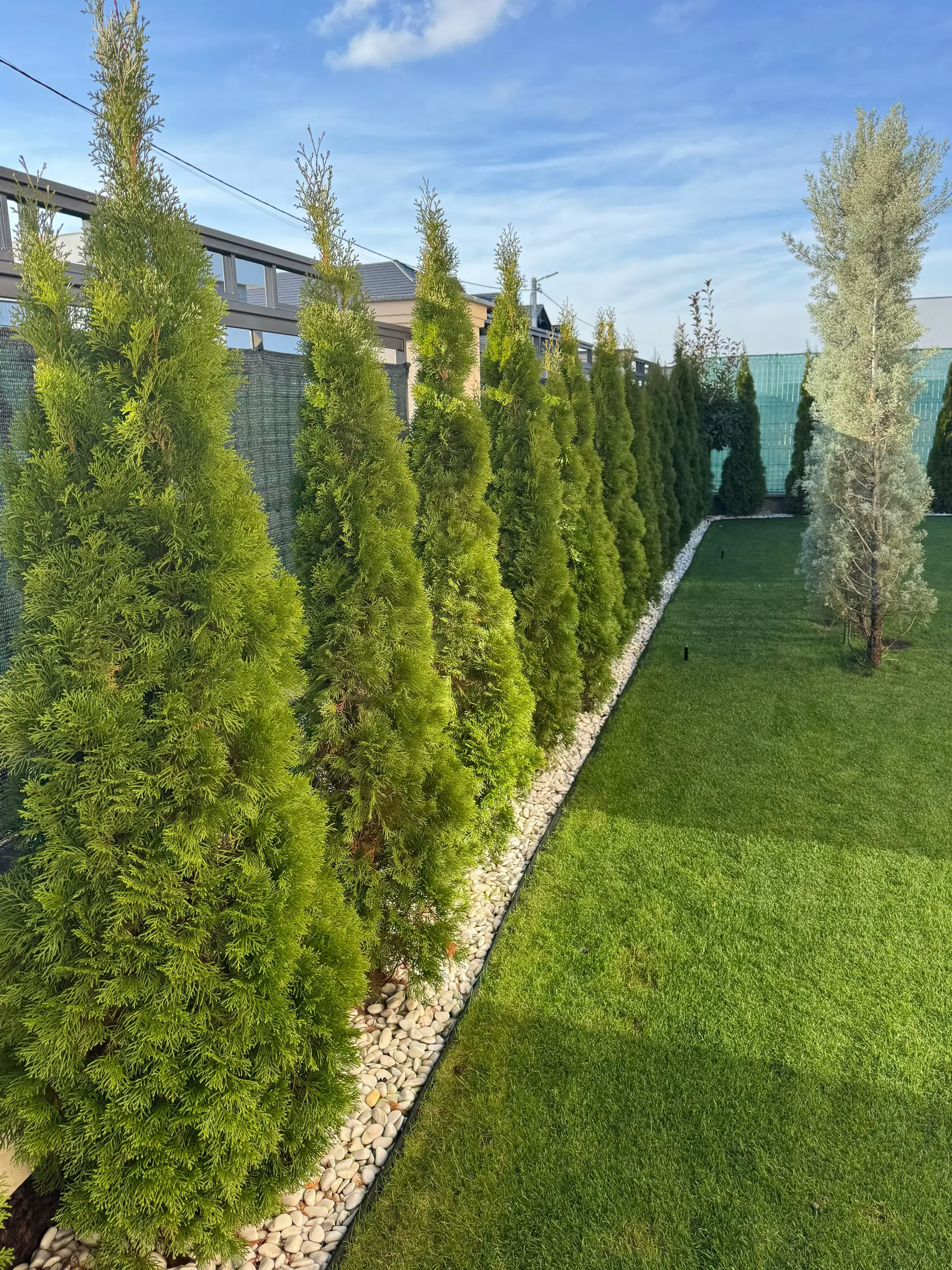 Image 3 of 19