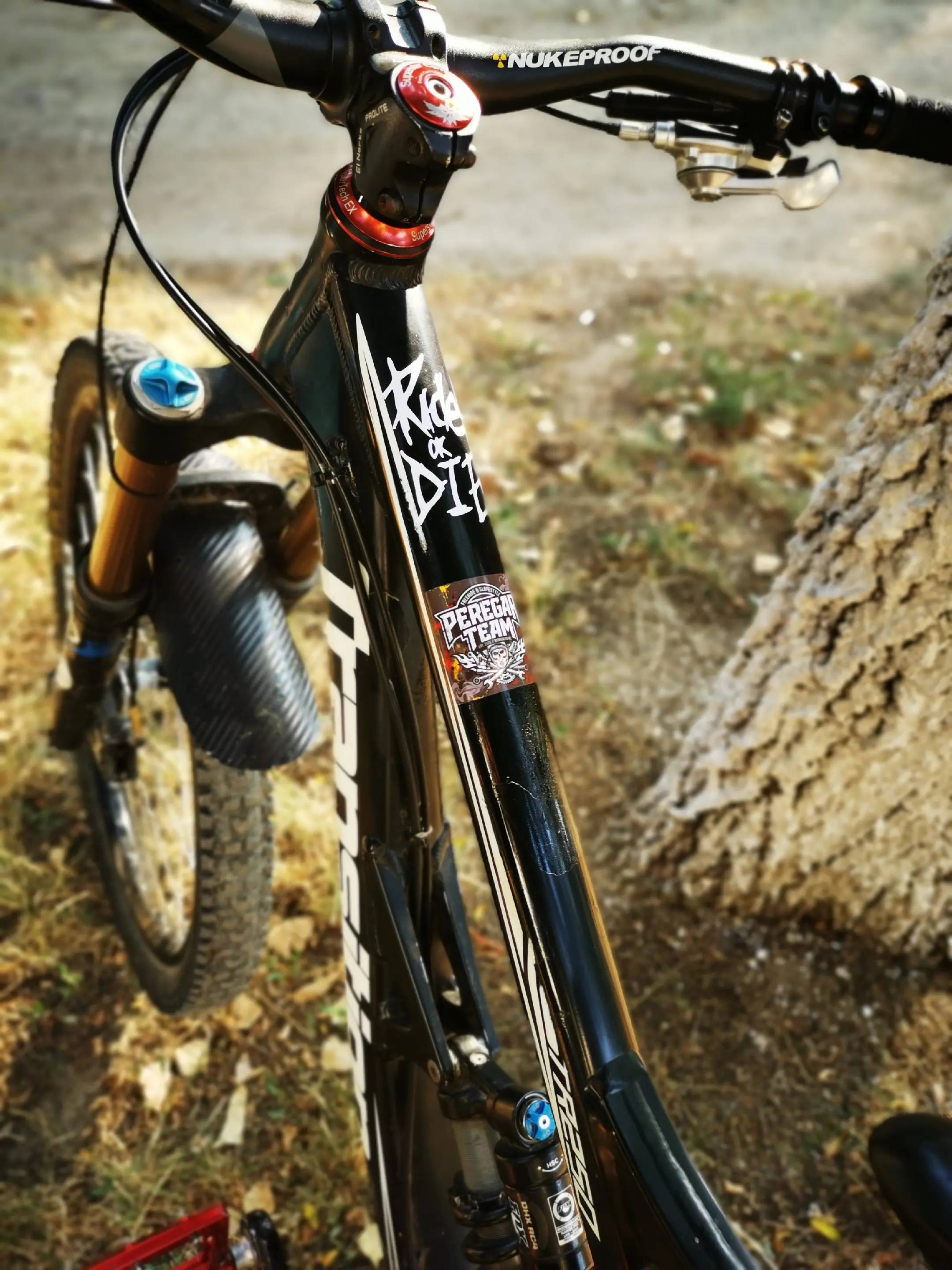 Image 2 of 5