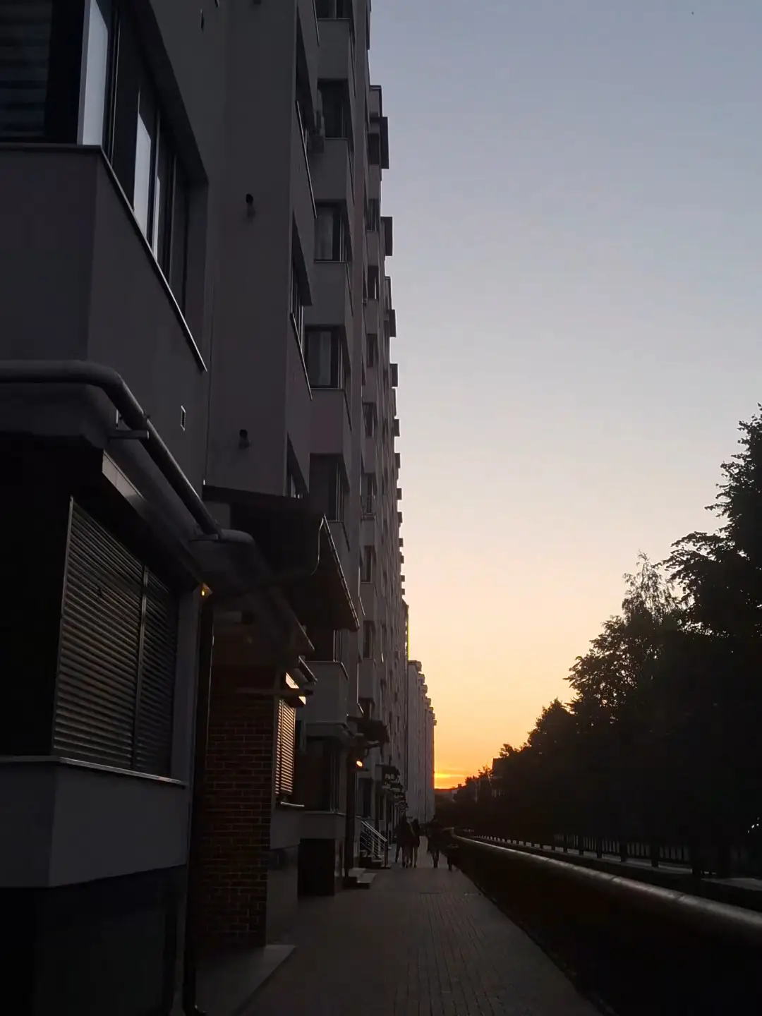 Image 7 of 12