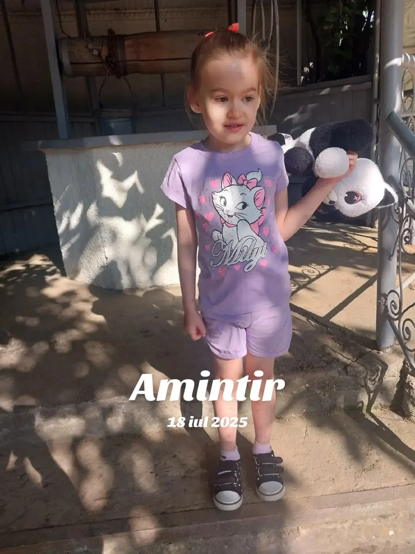 Image 2 of 13