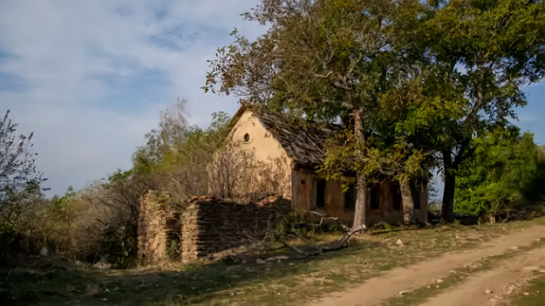 Image 7 of 9