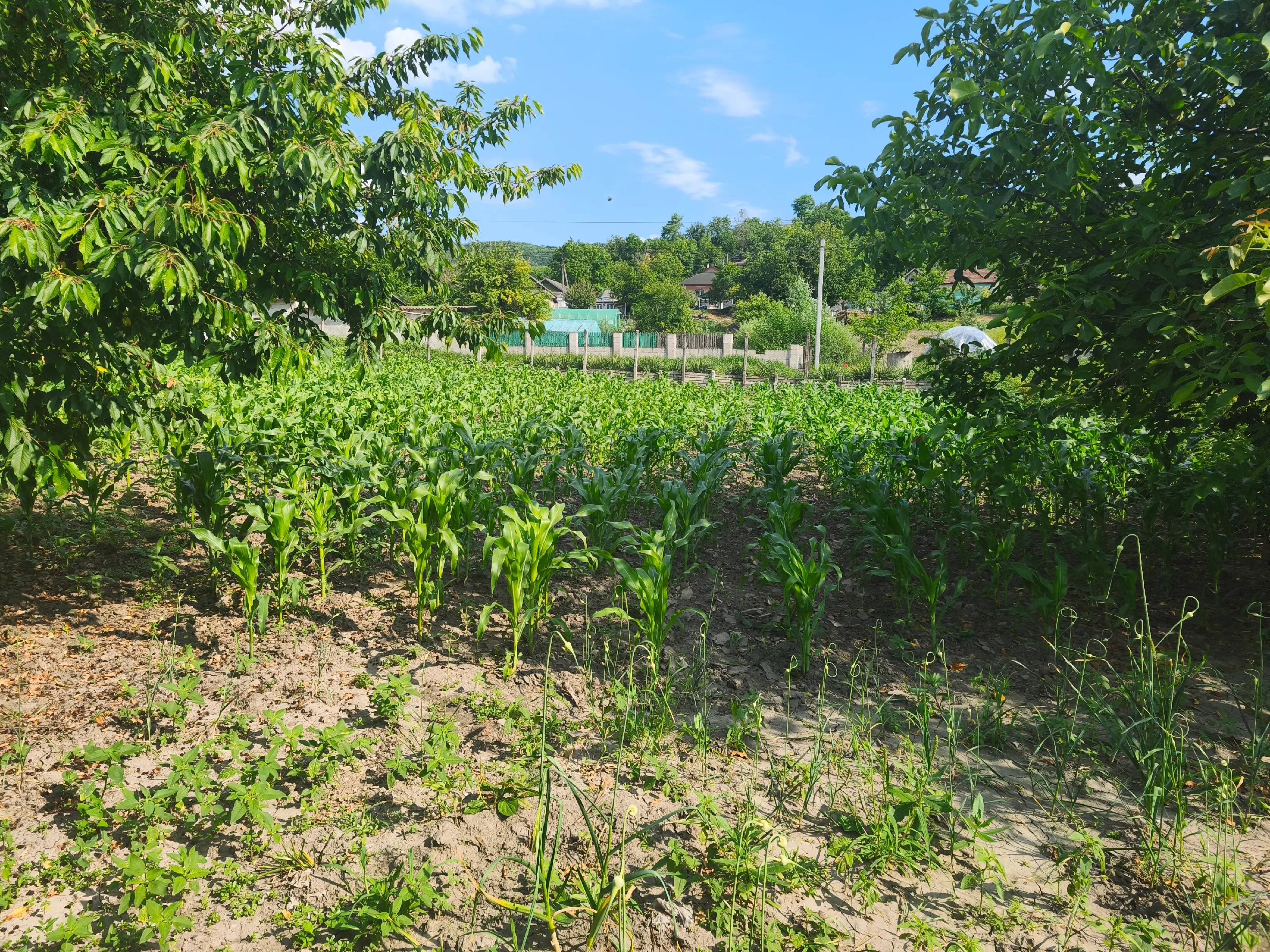 Image 8 of 10