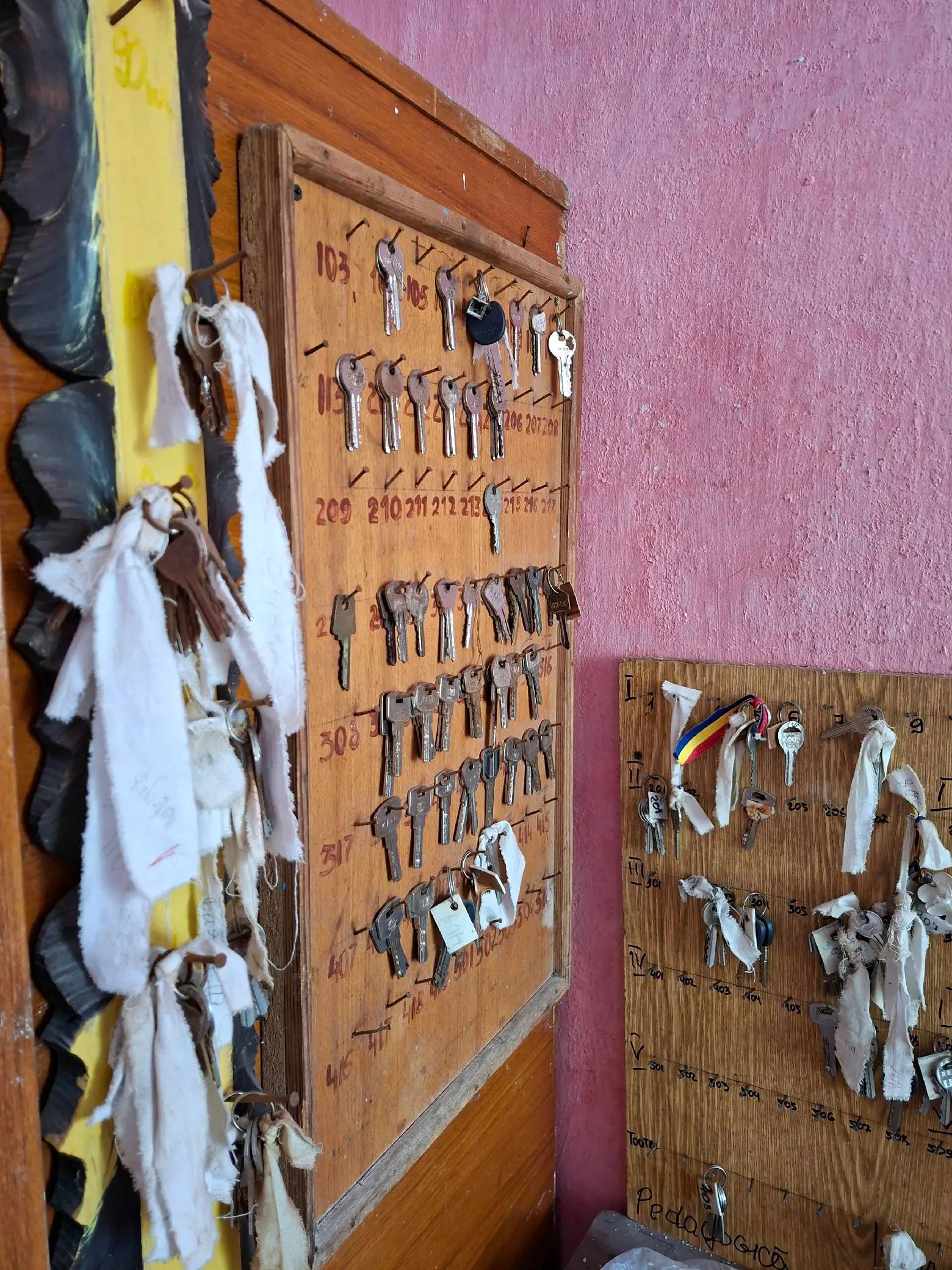 Image 15 of 21