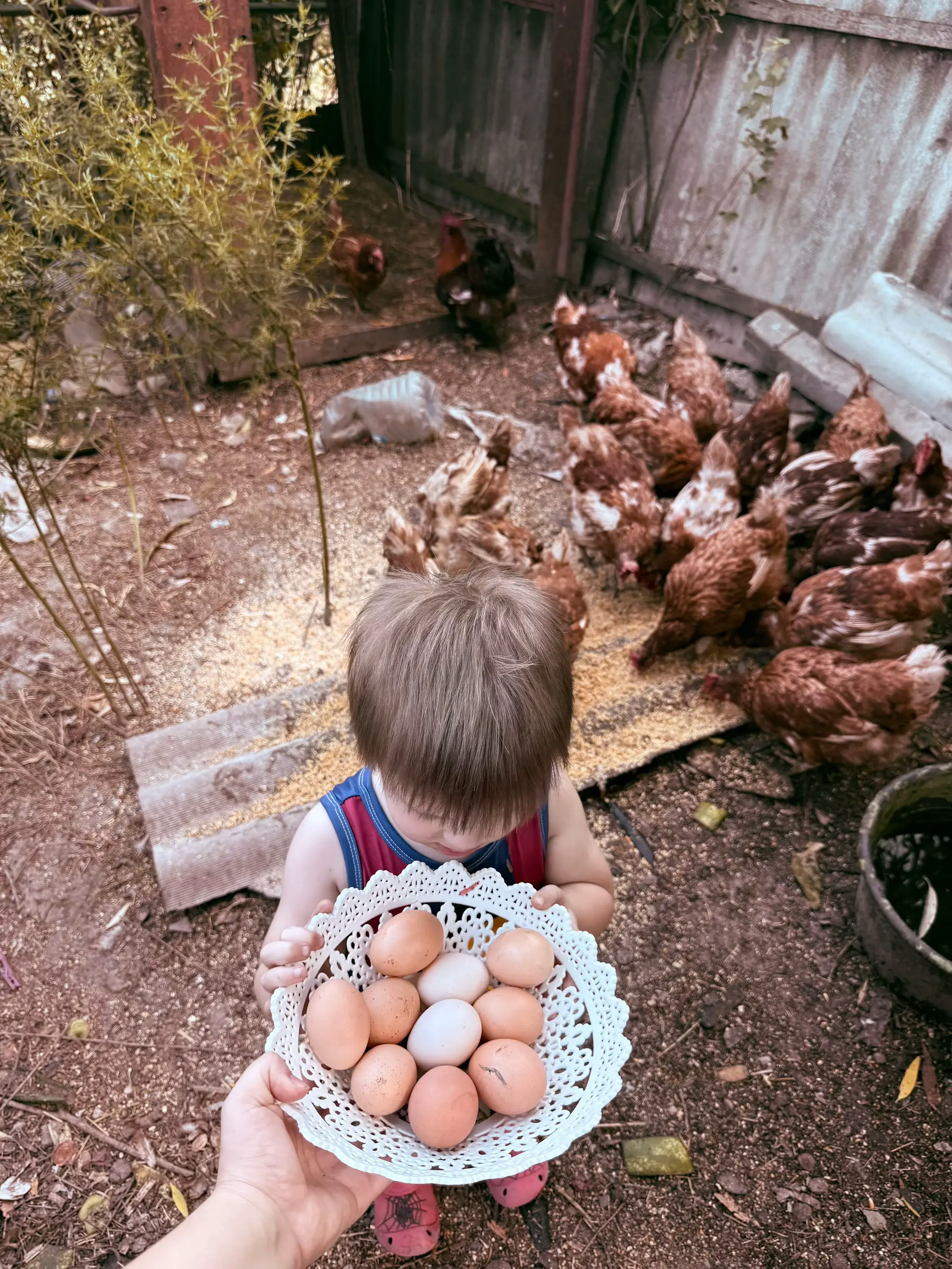 Image 10 of 13