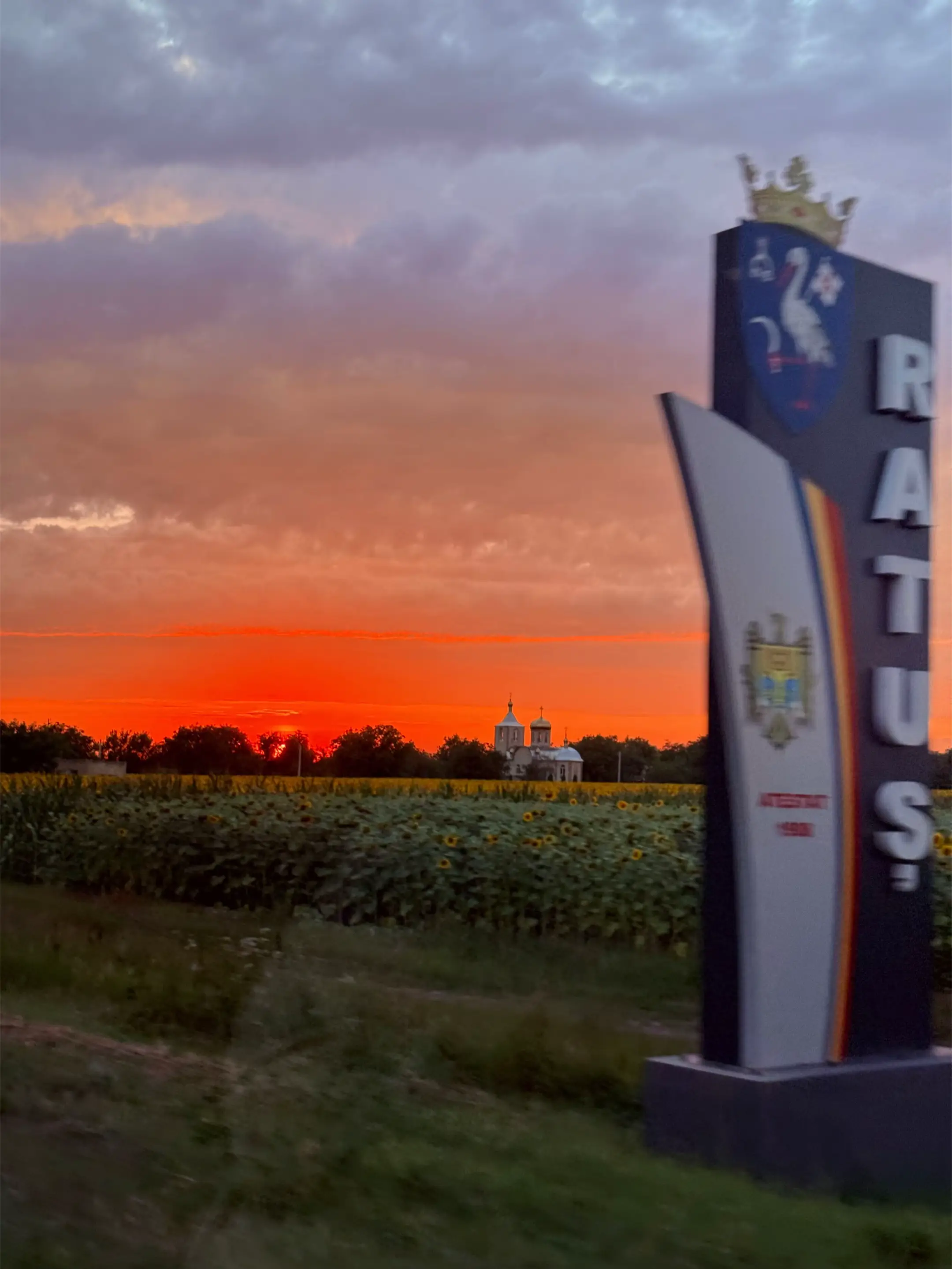 Image 7 of 13