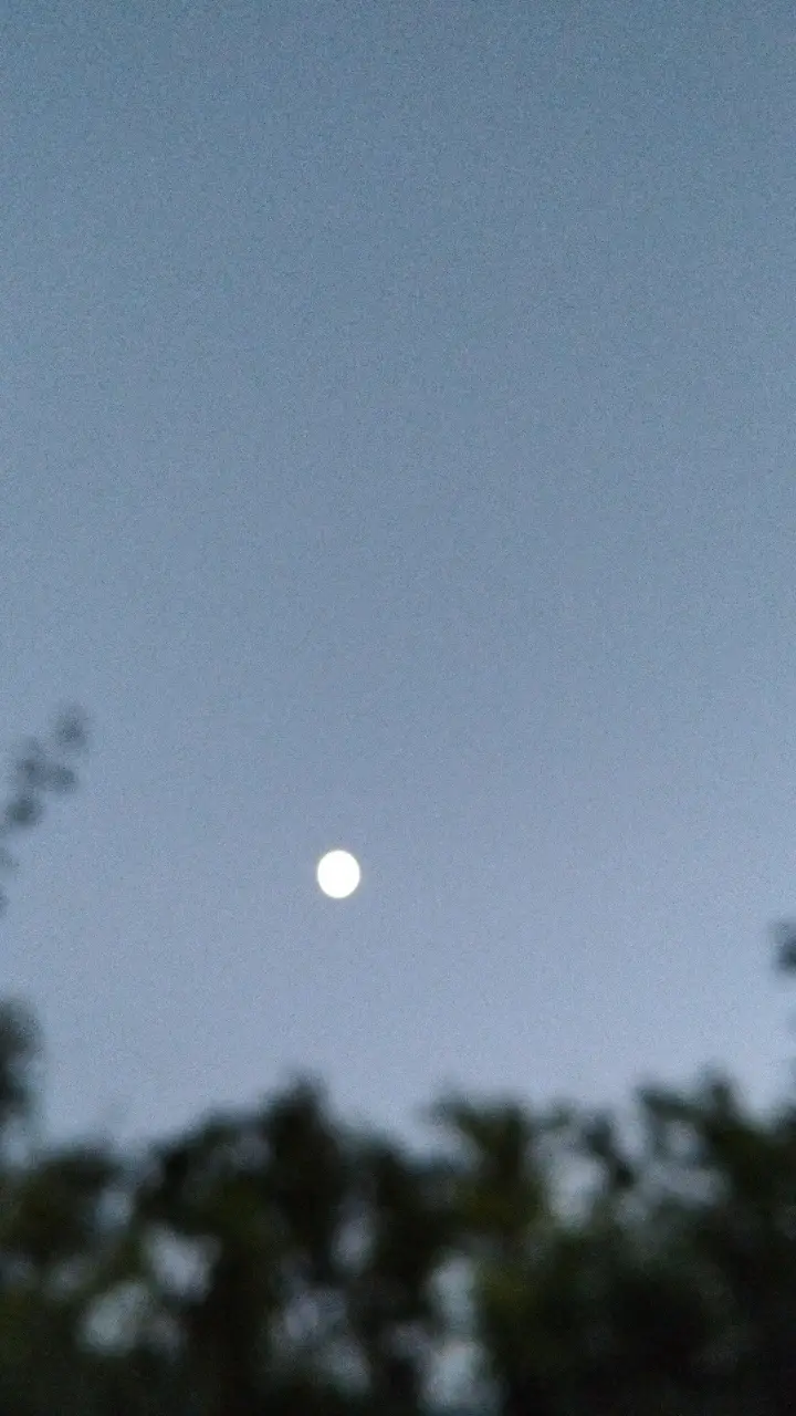 Image 12 of 21