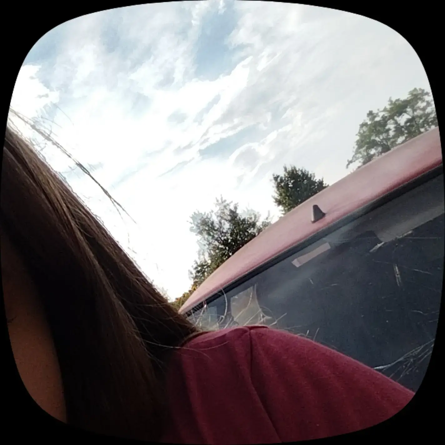 Image 14 of 21