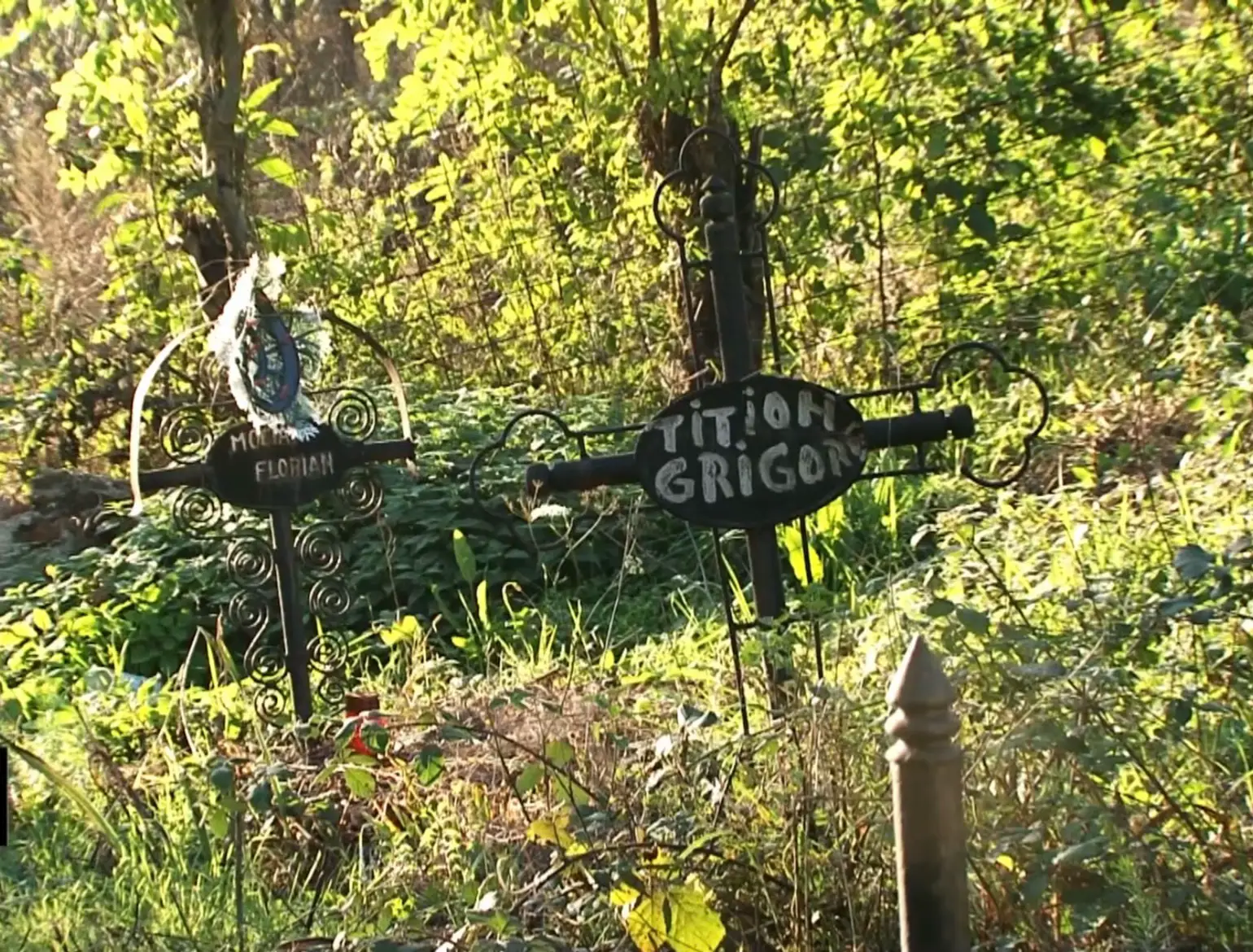 Image 6 of 9