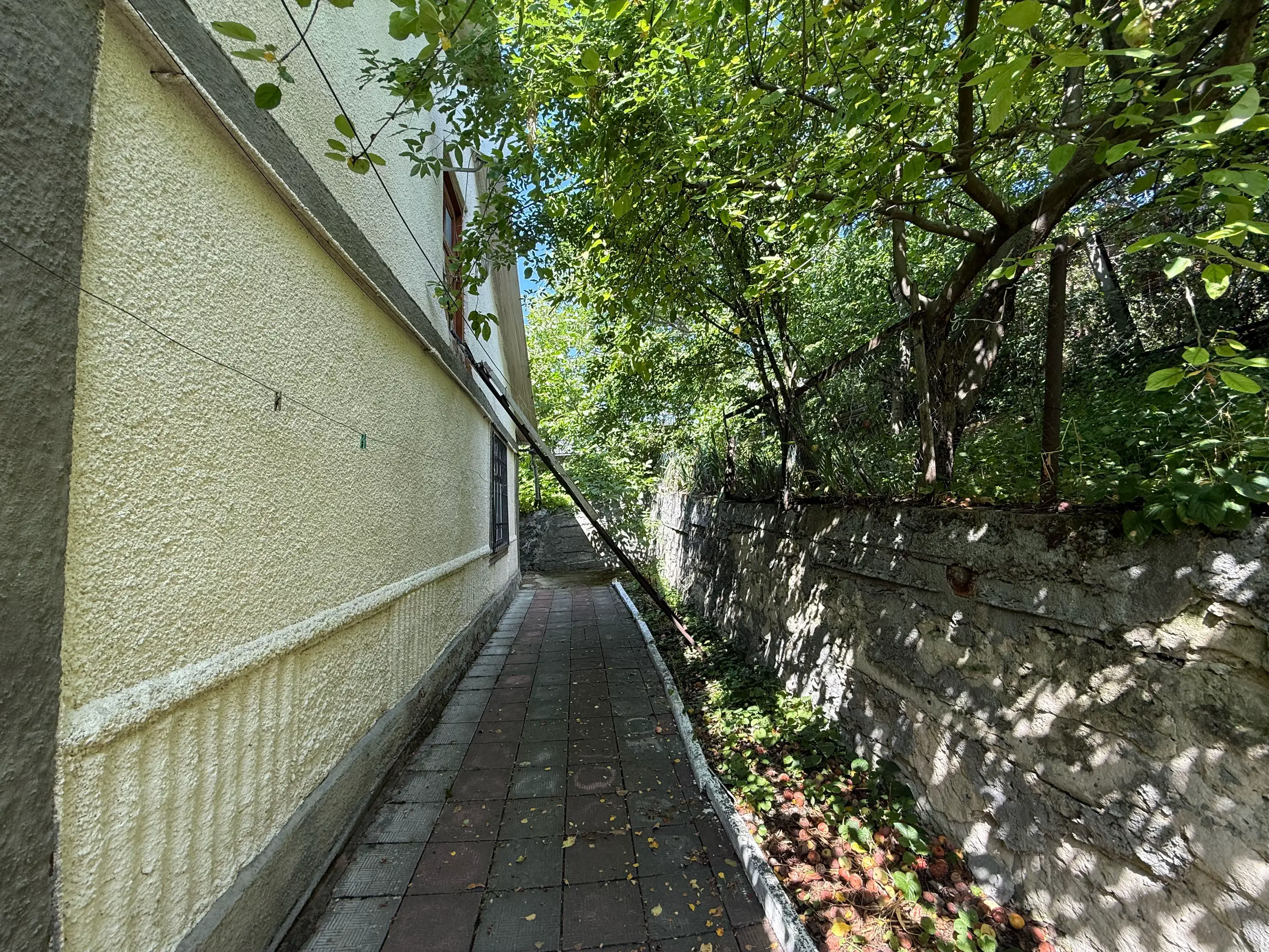 Image 3 of 7