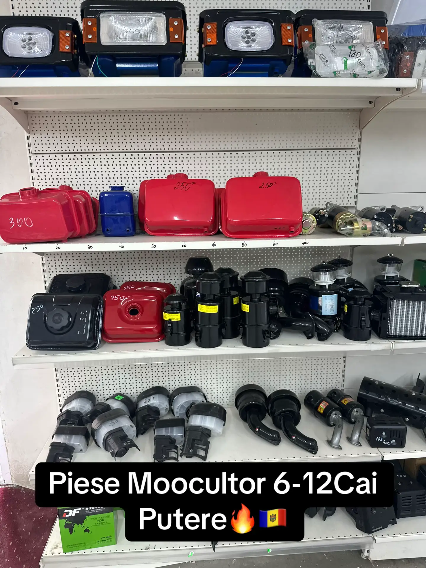 Image 1 of 19