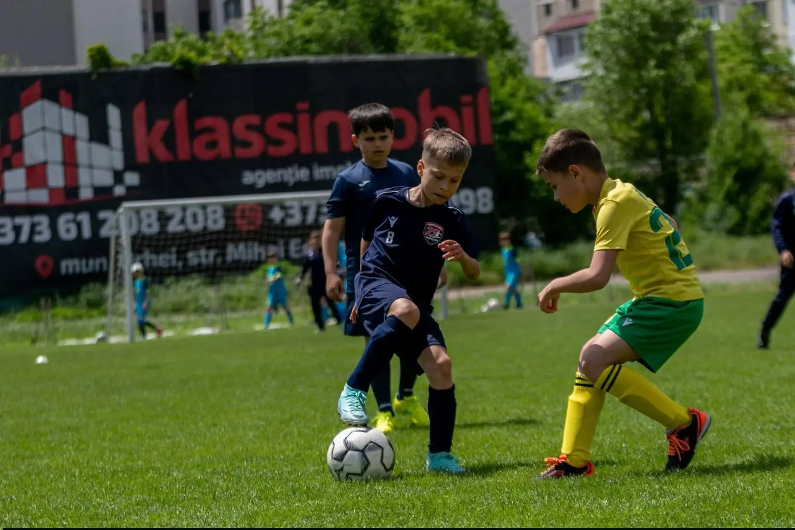 Image 8 of 8