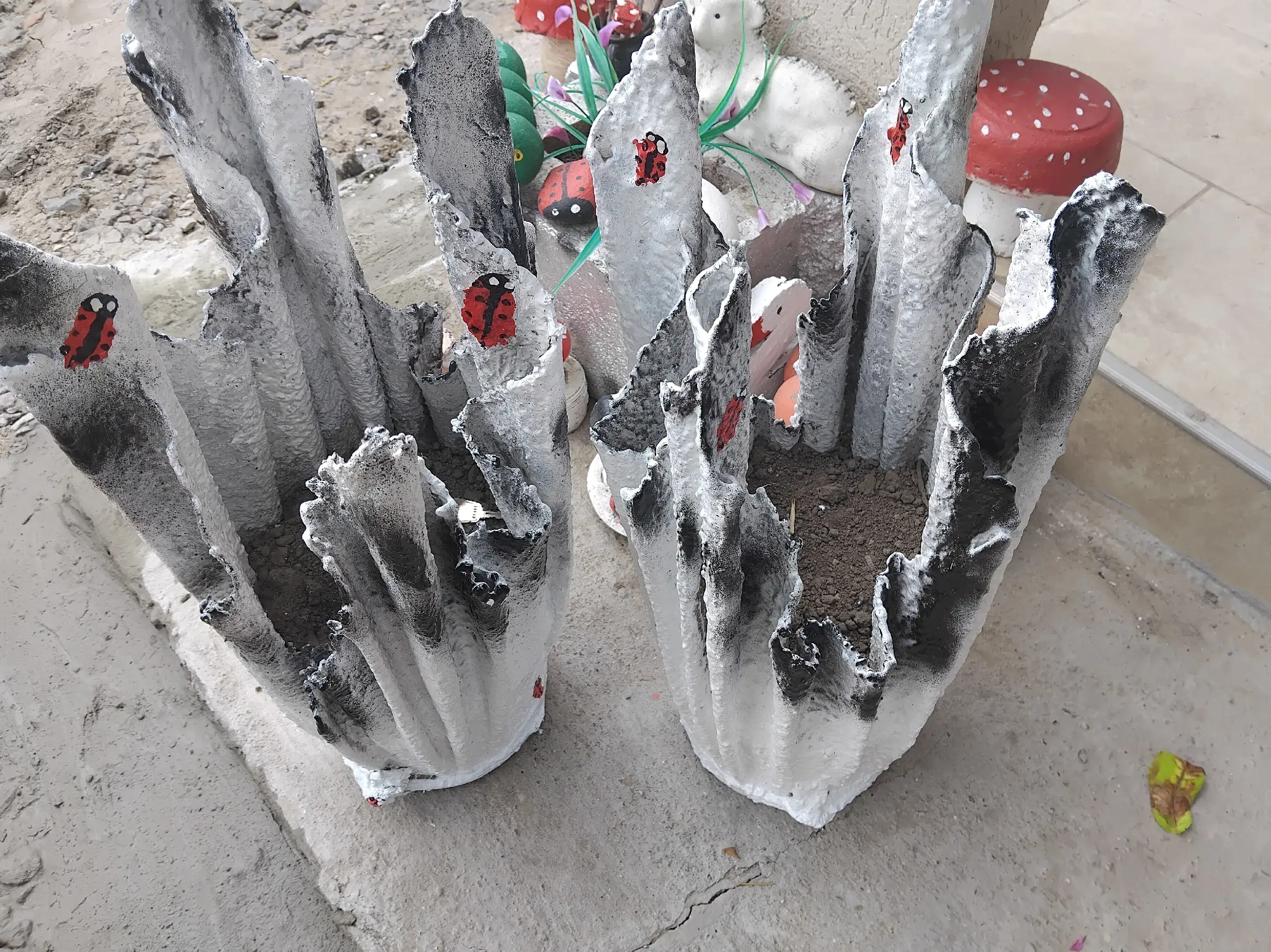 Image 1 of 5