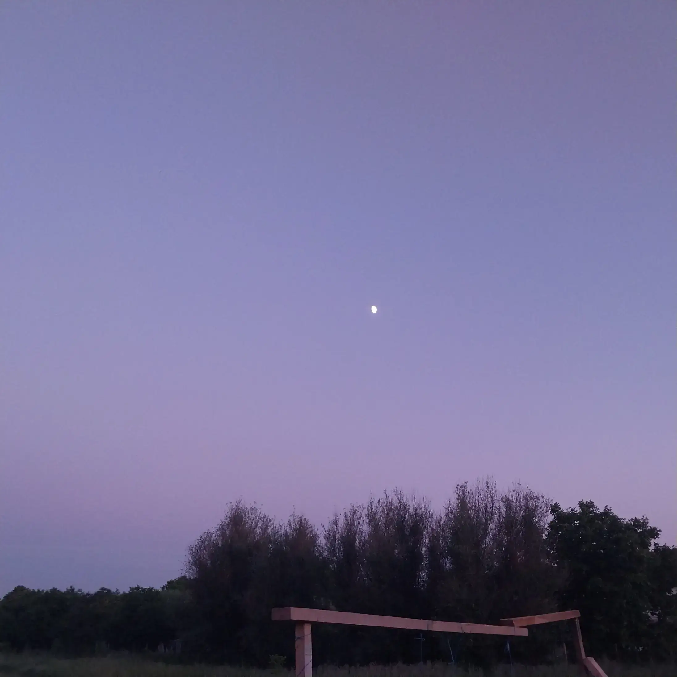 Image 13 of 20
