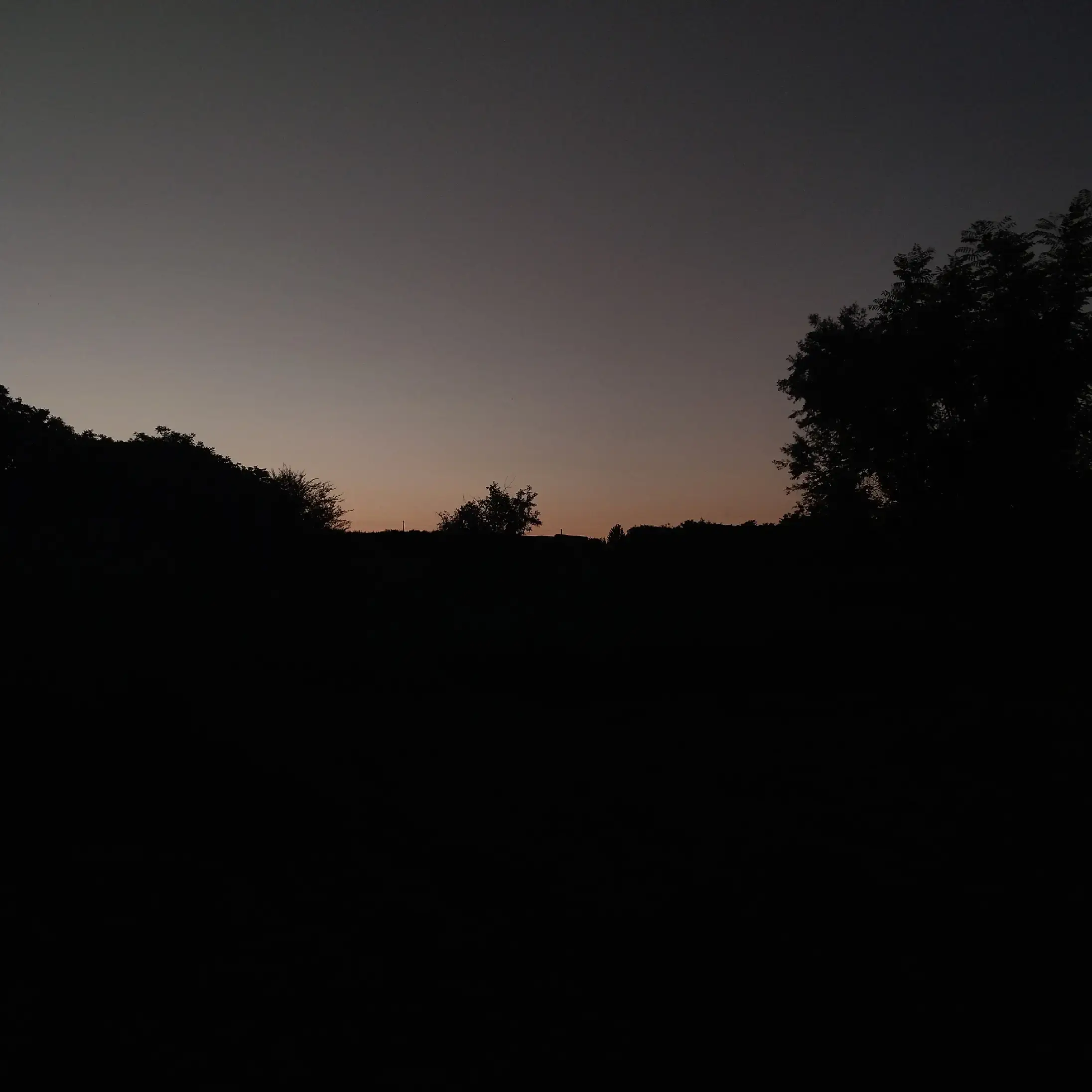 Image 16 of 20