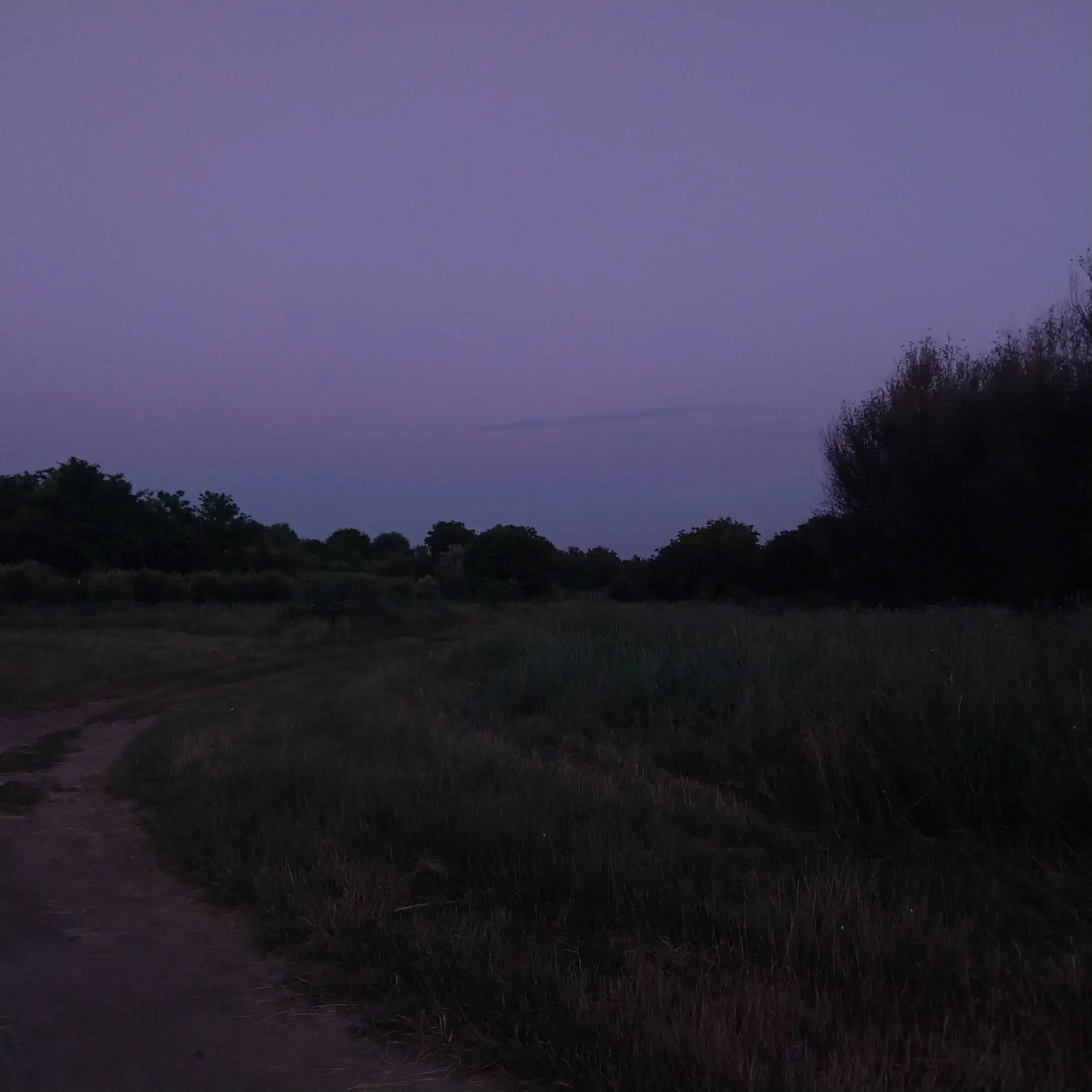 Image 17 of 20