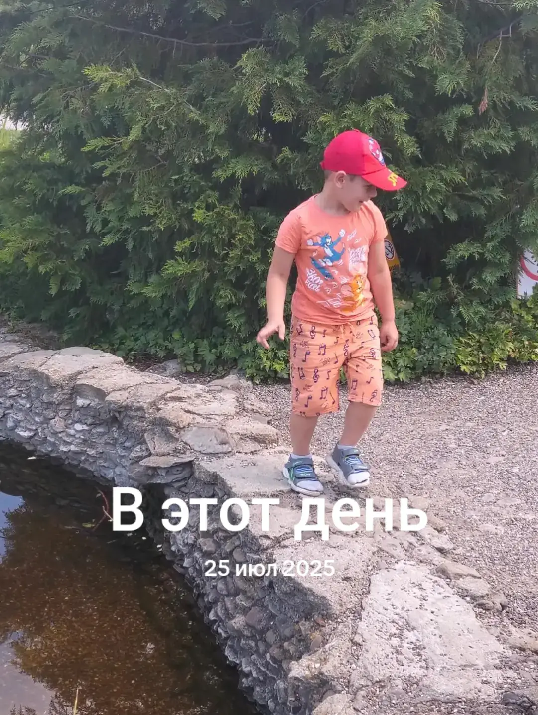 Image 6 of 15